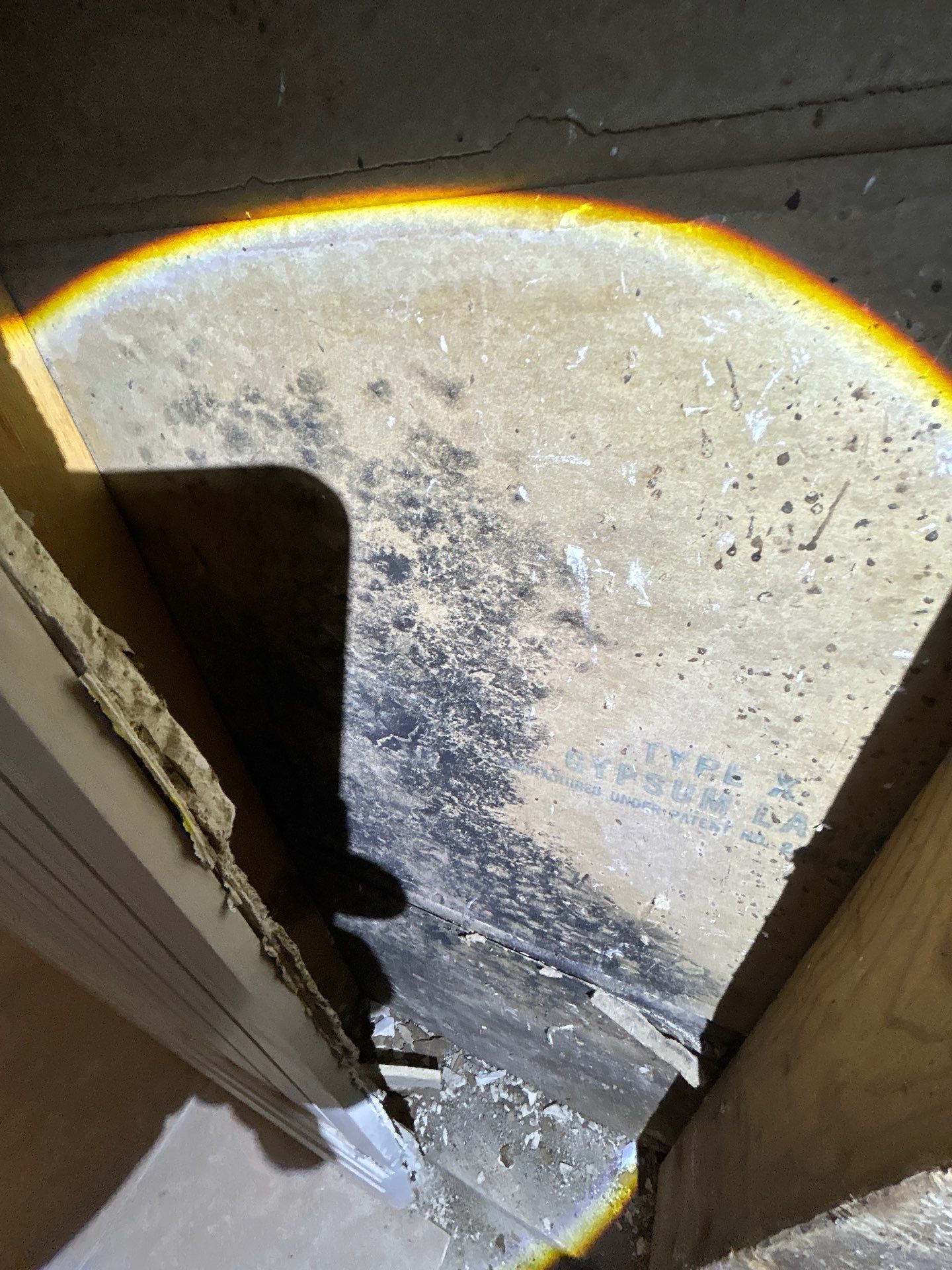 Mold Removal & Remediation In Seminole FL by Ampm Restoration Services