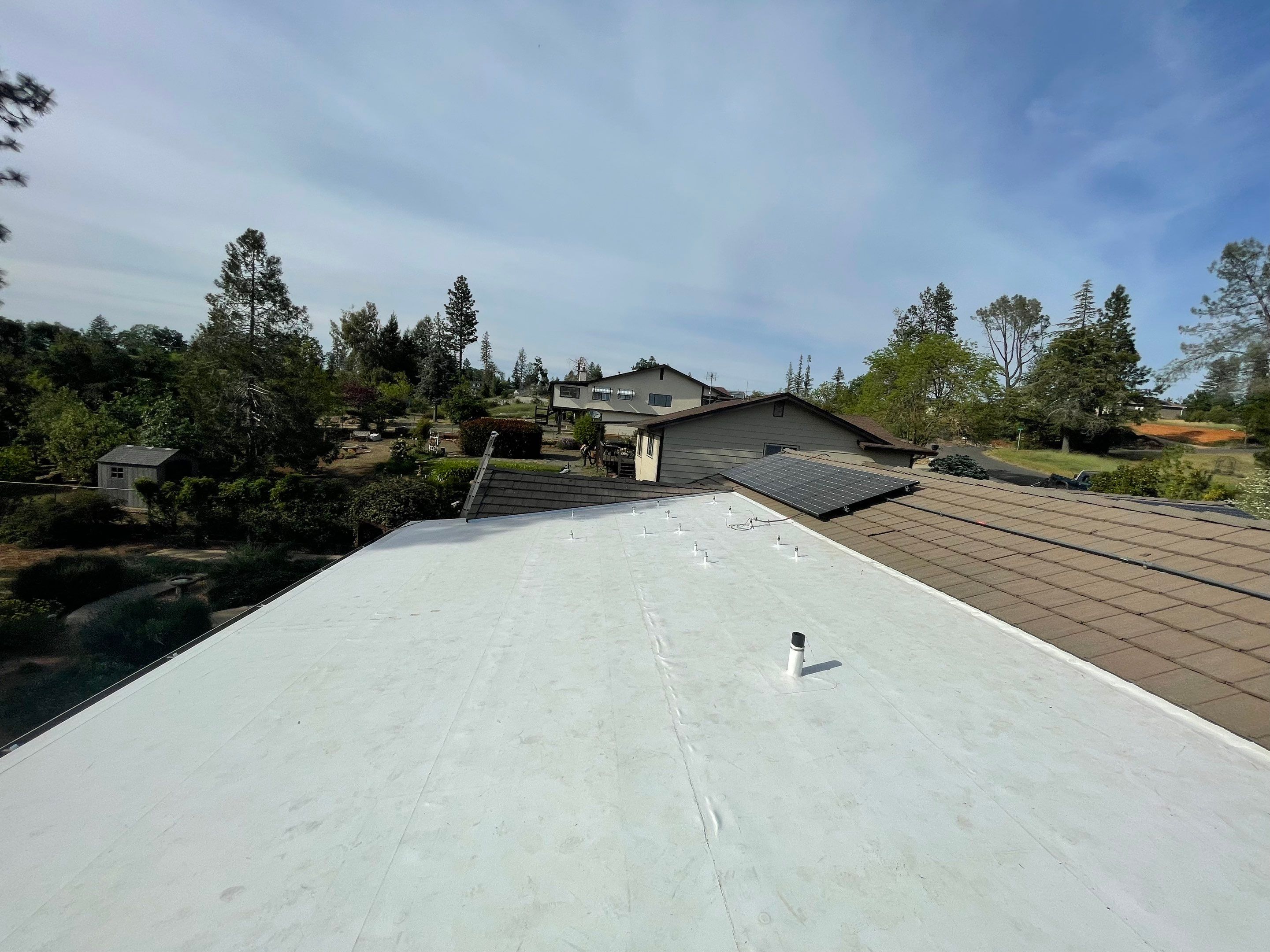 Paradise Duro-last PVC by Butte Roofing Company License #567600