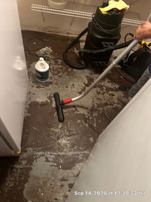 Black Mold Removal — Fort Myers, FL