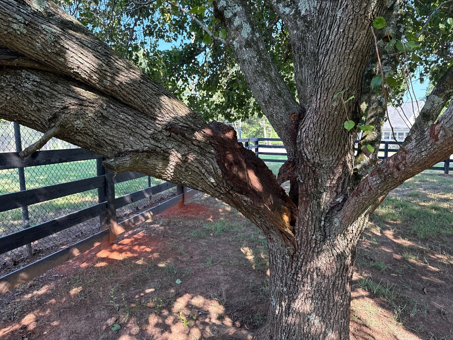 Project in Waxhaw by Badger Hauling