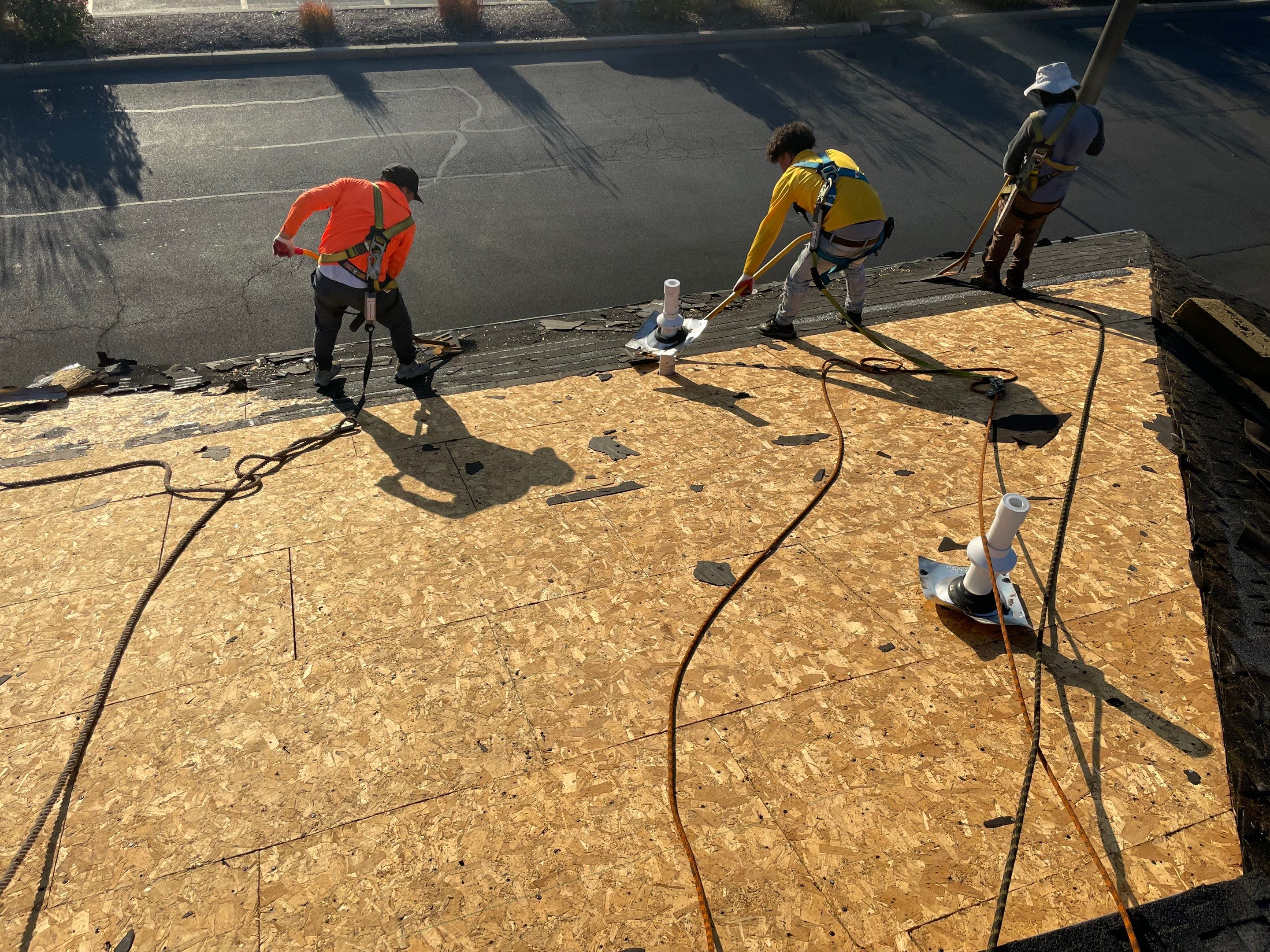 Bank Of America / Commercial Roofing Installation by All Site Roofing