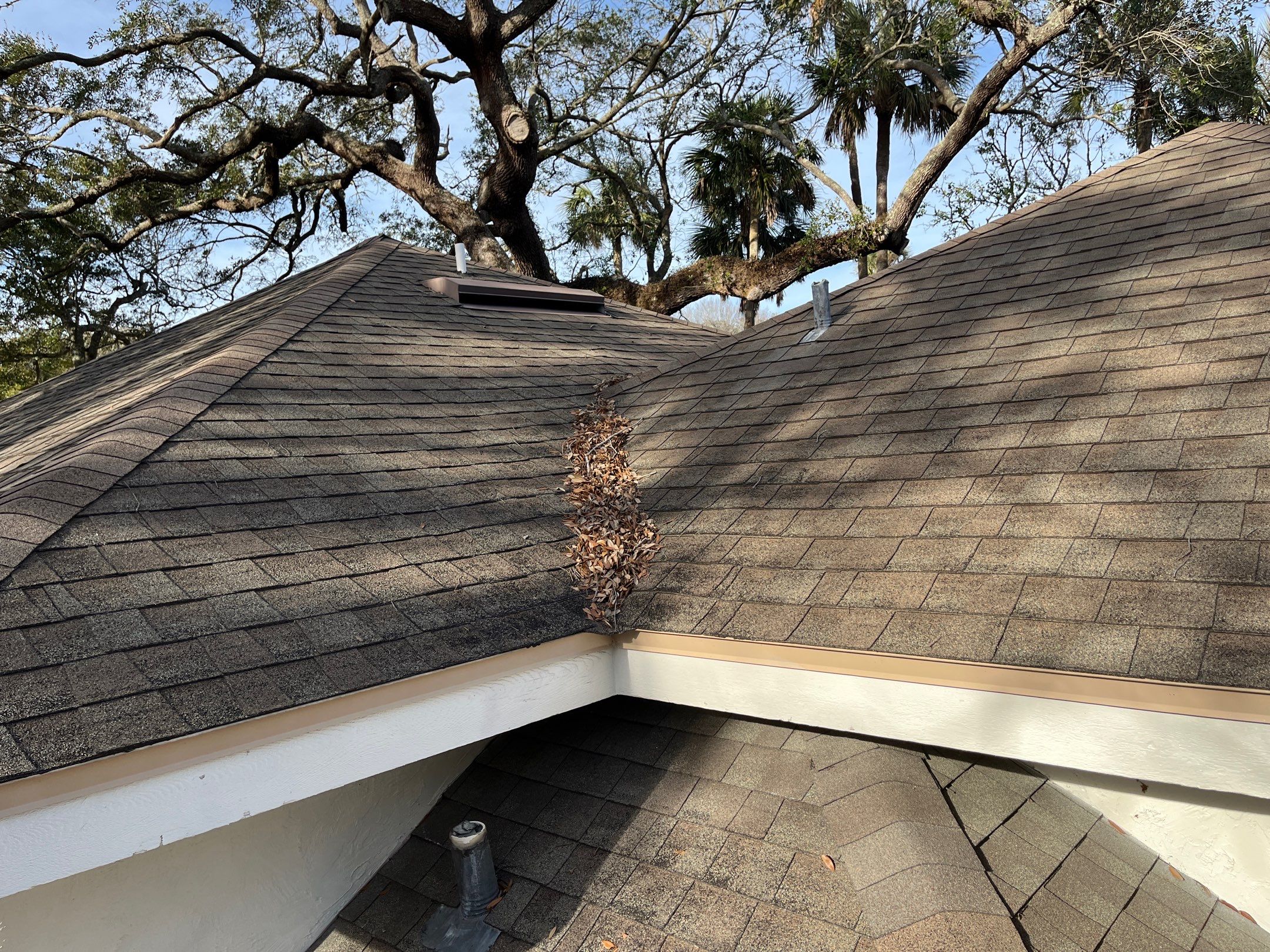Shingle -> Shingle by Prime Roofing