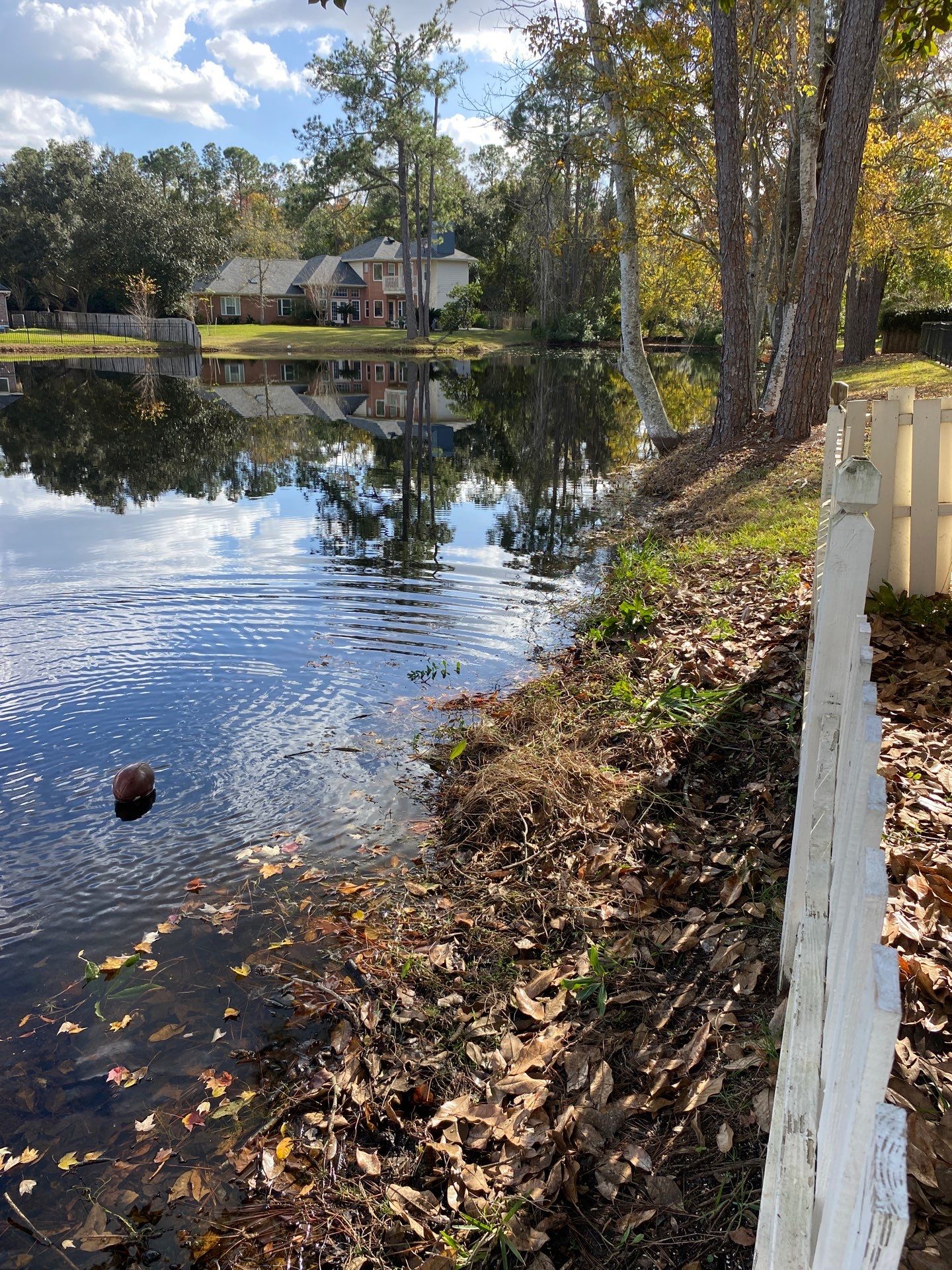 Deerwood Resident | Tree Removal & Palm Trimming by ProGreen Services