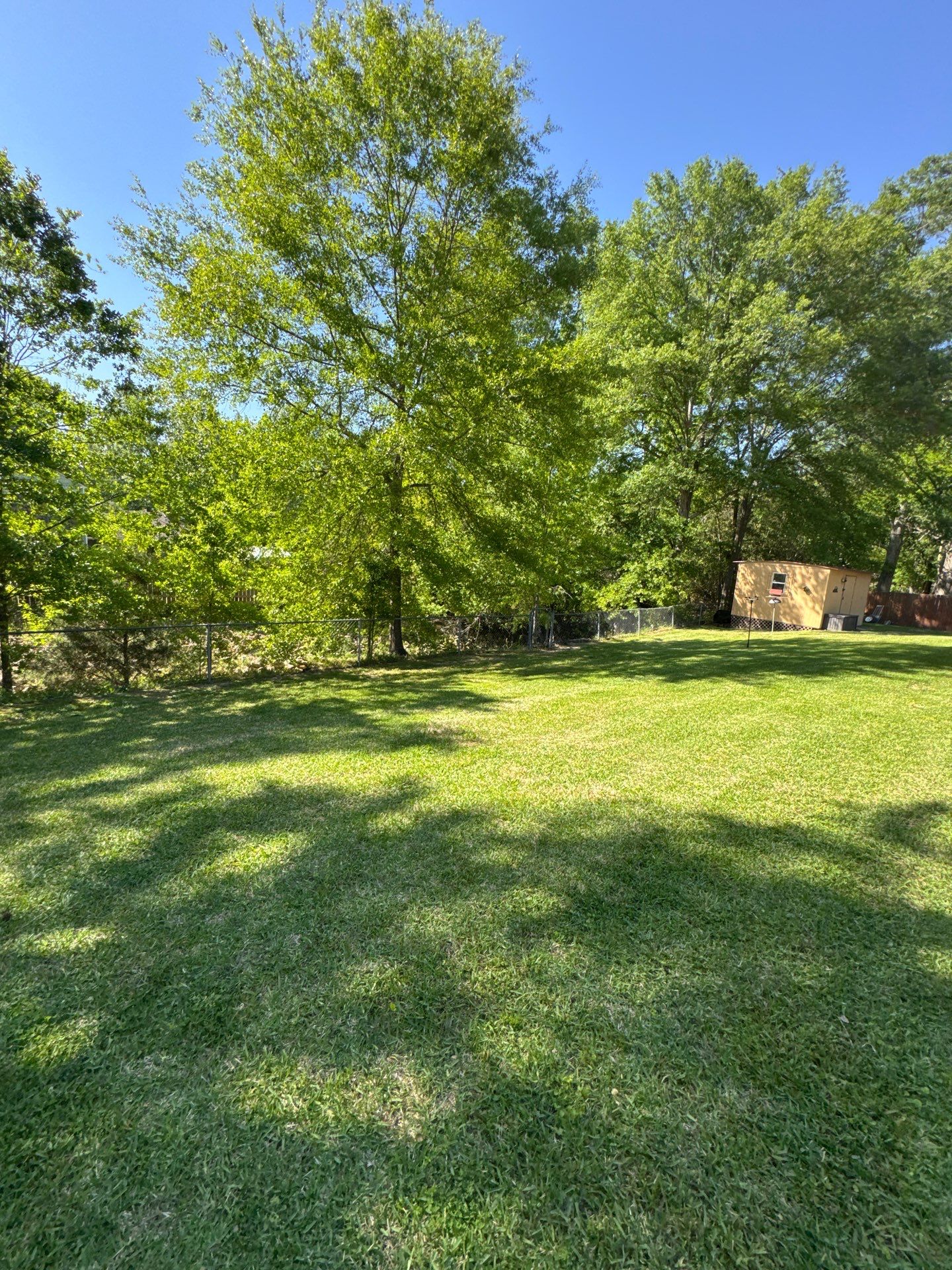 6' Cedar Good Neighbor w/Black Chain Link by Roberson Construction LLC