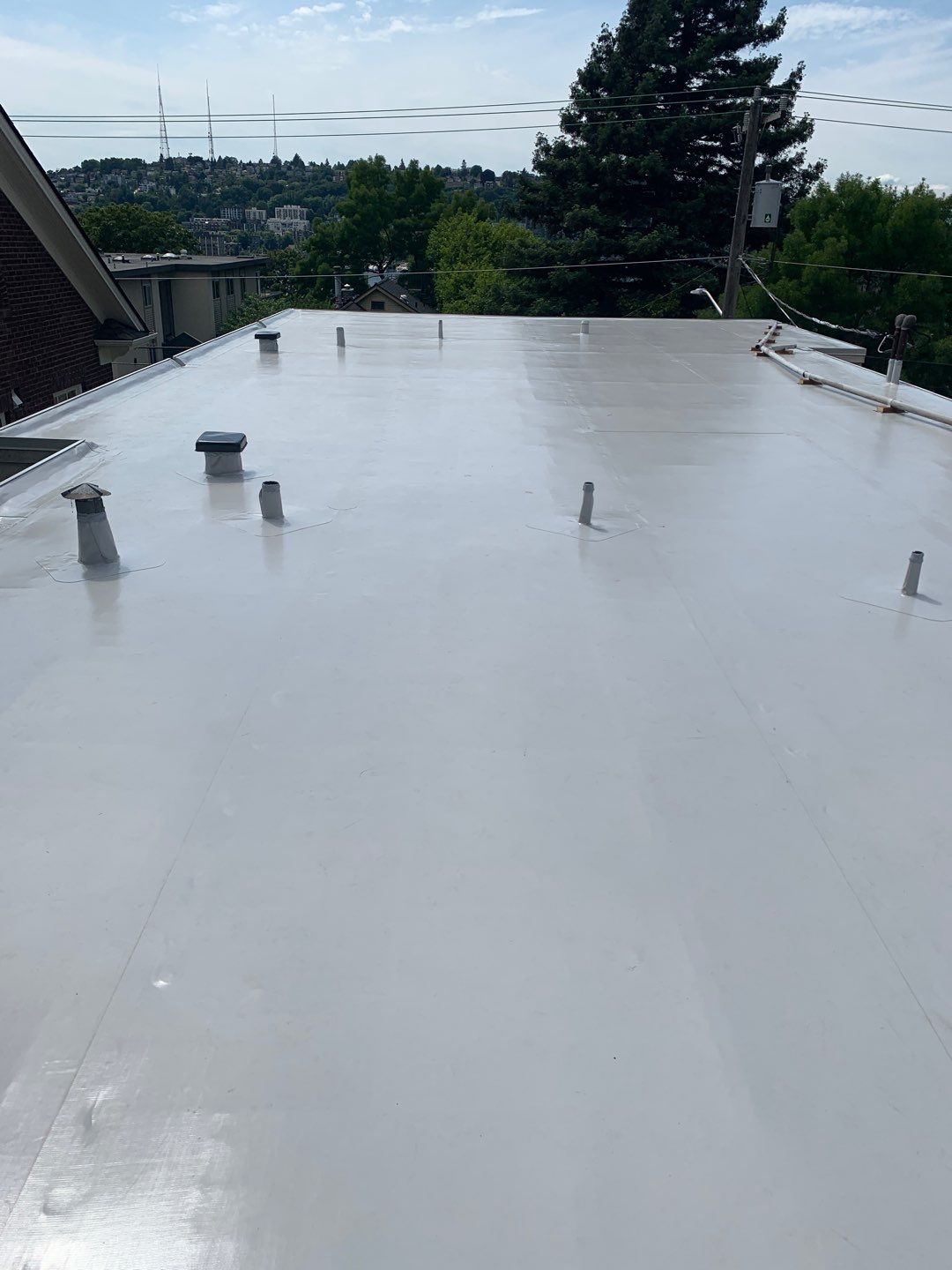 2025 Seattle Multi-Family Overlay by Alternative Roofing Systems Inc. 