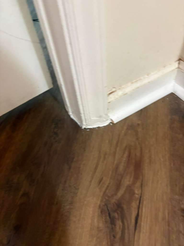 Project 49 by FMP Flooring