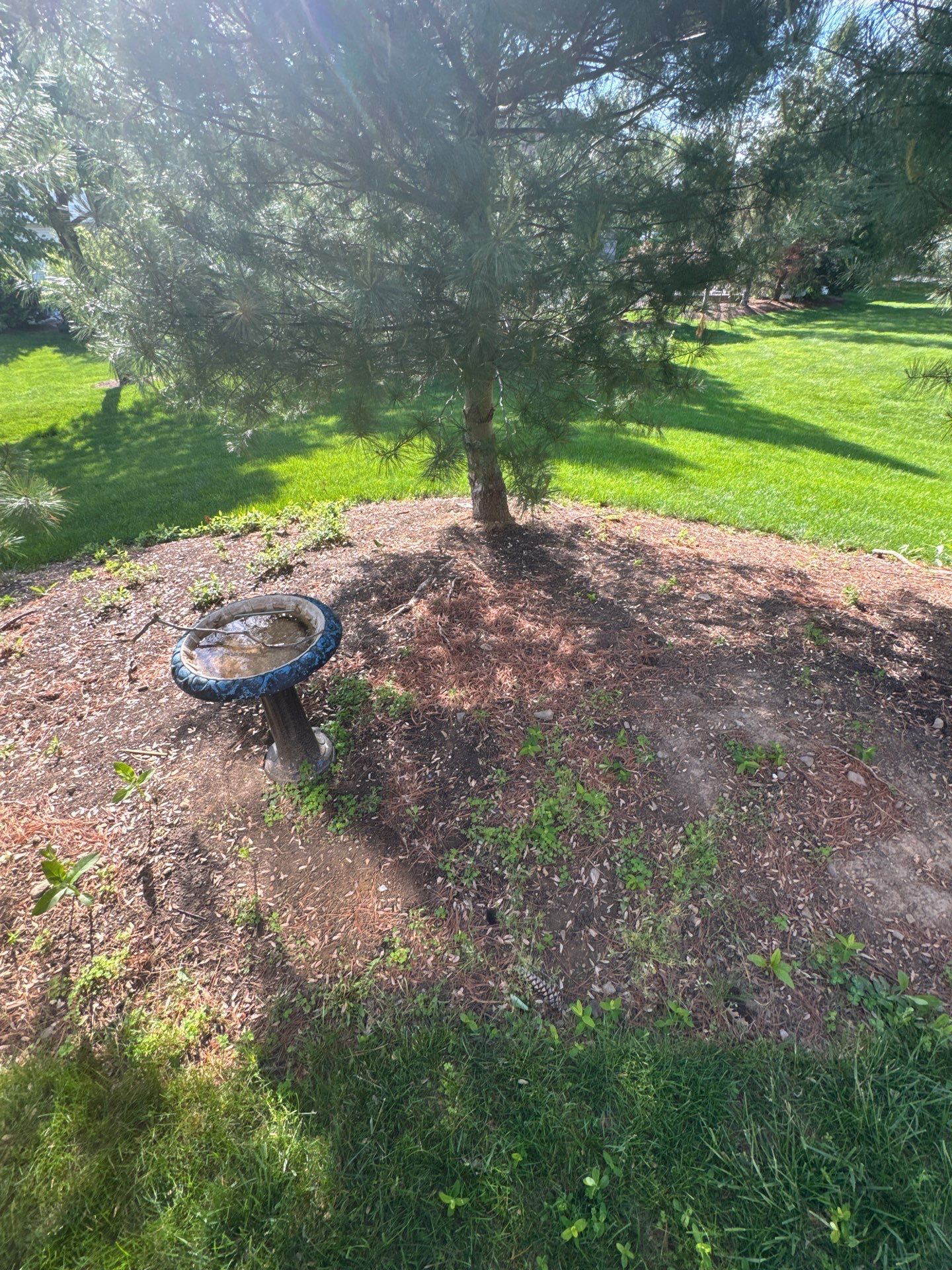 Backyard Retreat: Techo-Bloc Patio + Firepit Lounge by Saylor’s Lawn & Landscape