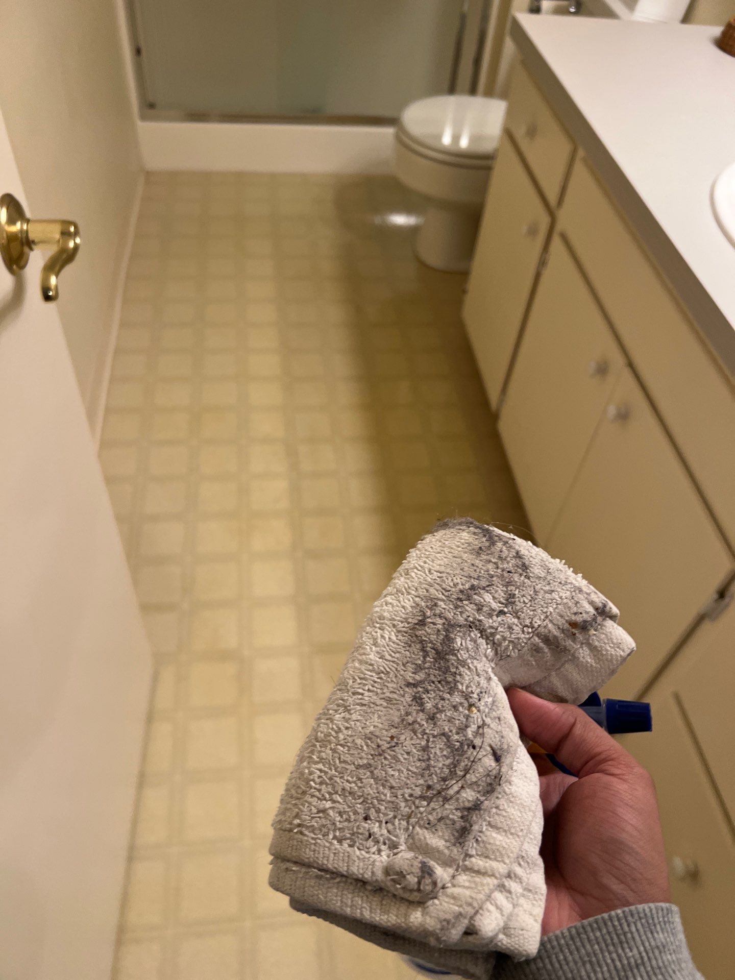 Maid Service House Cleaning in West Linn by Cloud 9 Professional Cleaning Services