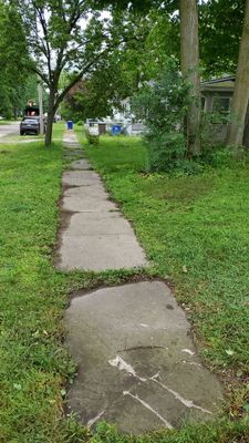 Tree Trimming using Tree Pruing