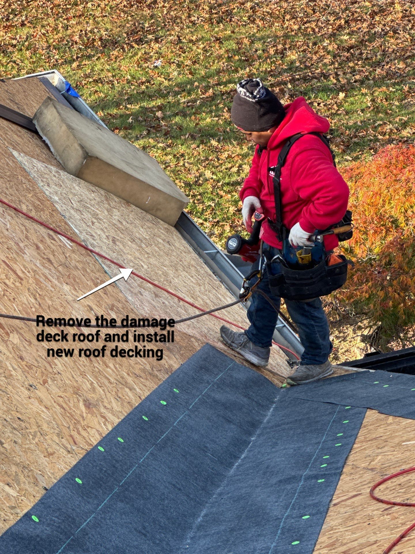New Roof Replacement  by Alpha Design Services