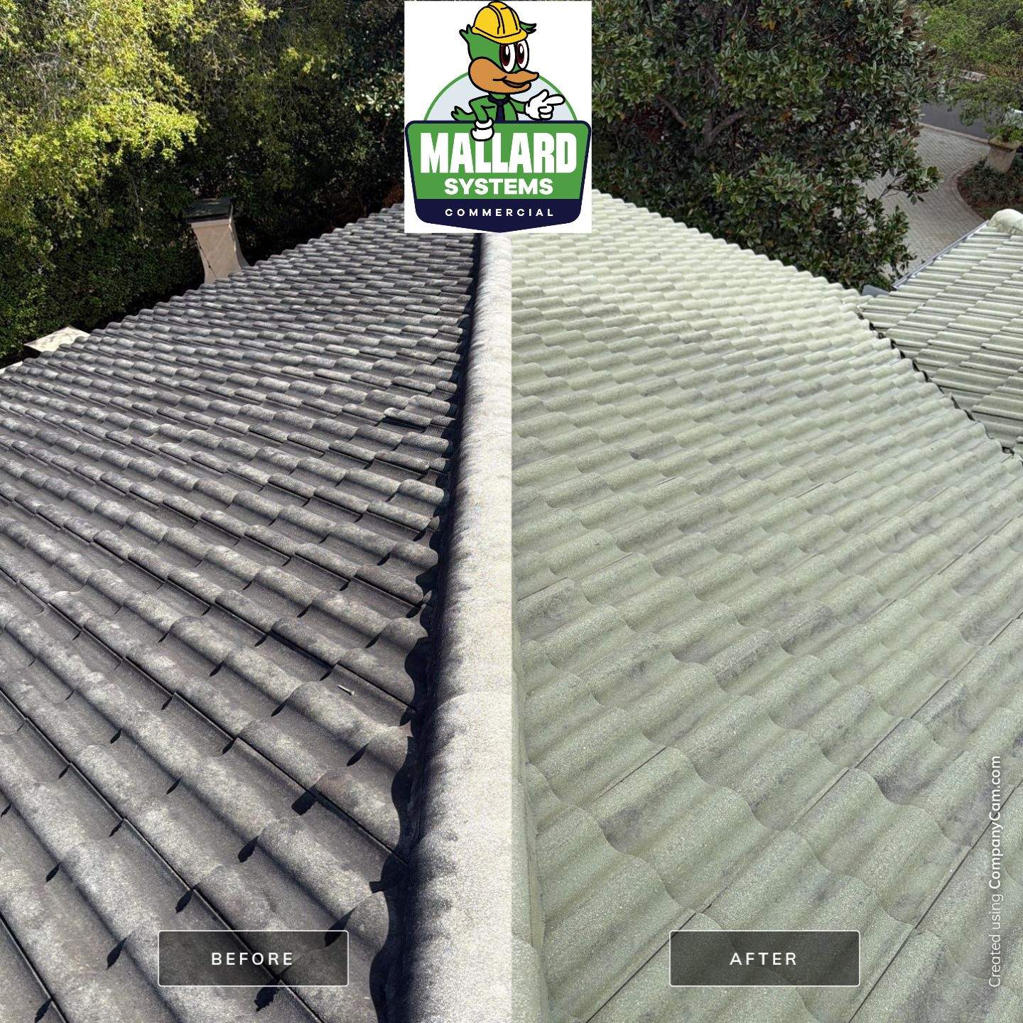 Tile Roof Cleaning by Mallard Systems