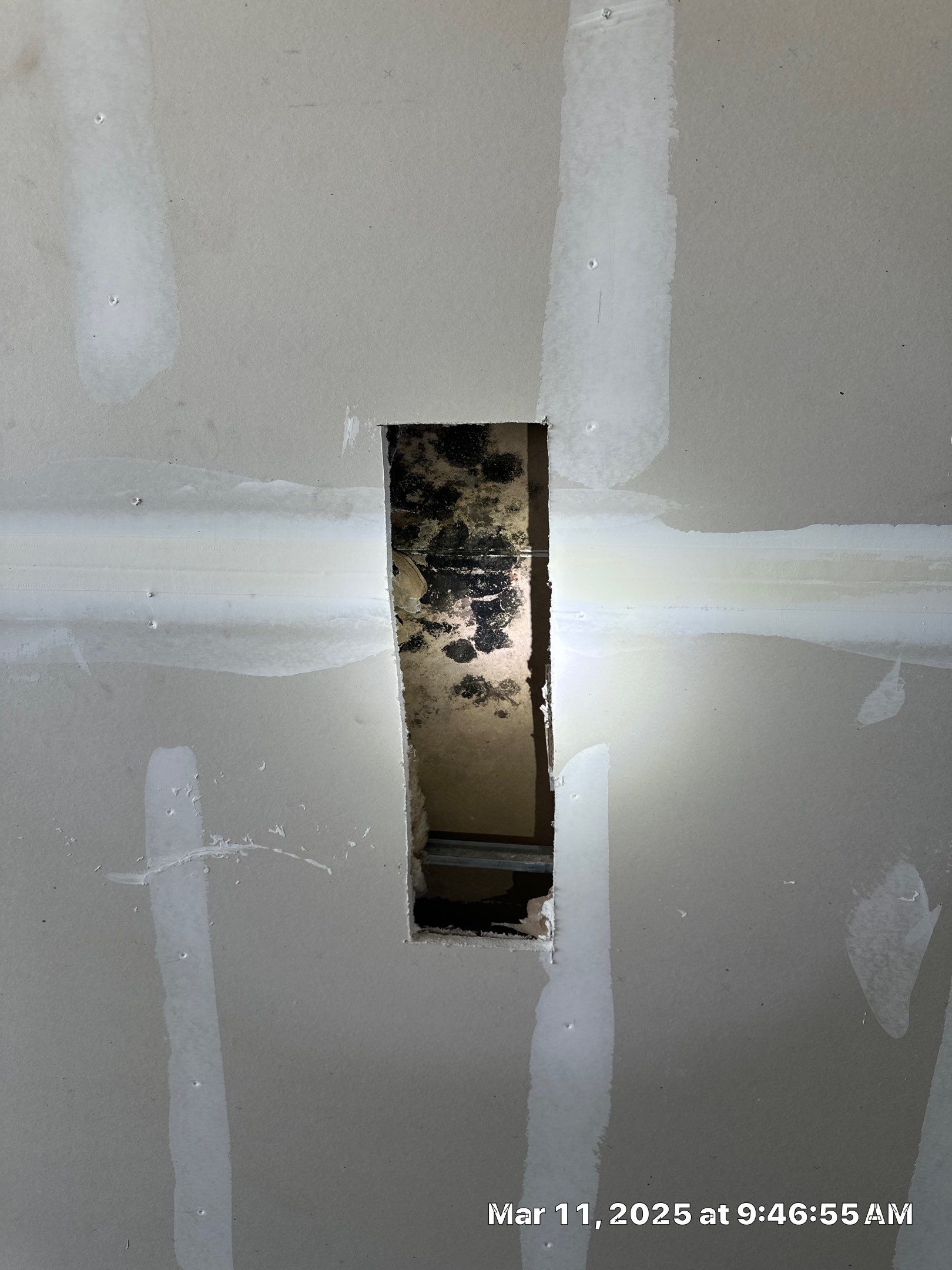 Indoor Environmental testing for a commercial complex due to poor construction and negative air pressure in the building by Building performance Solutions LLC