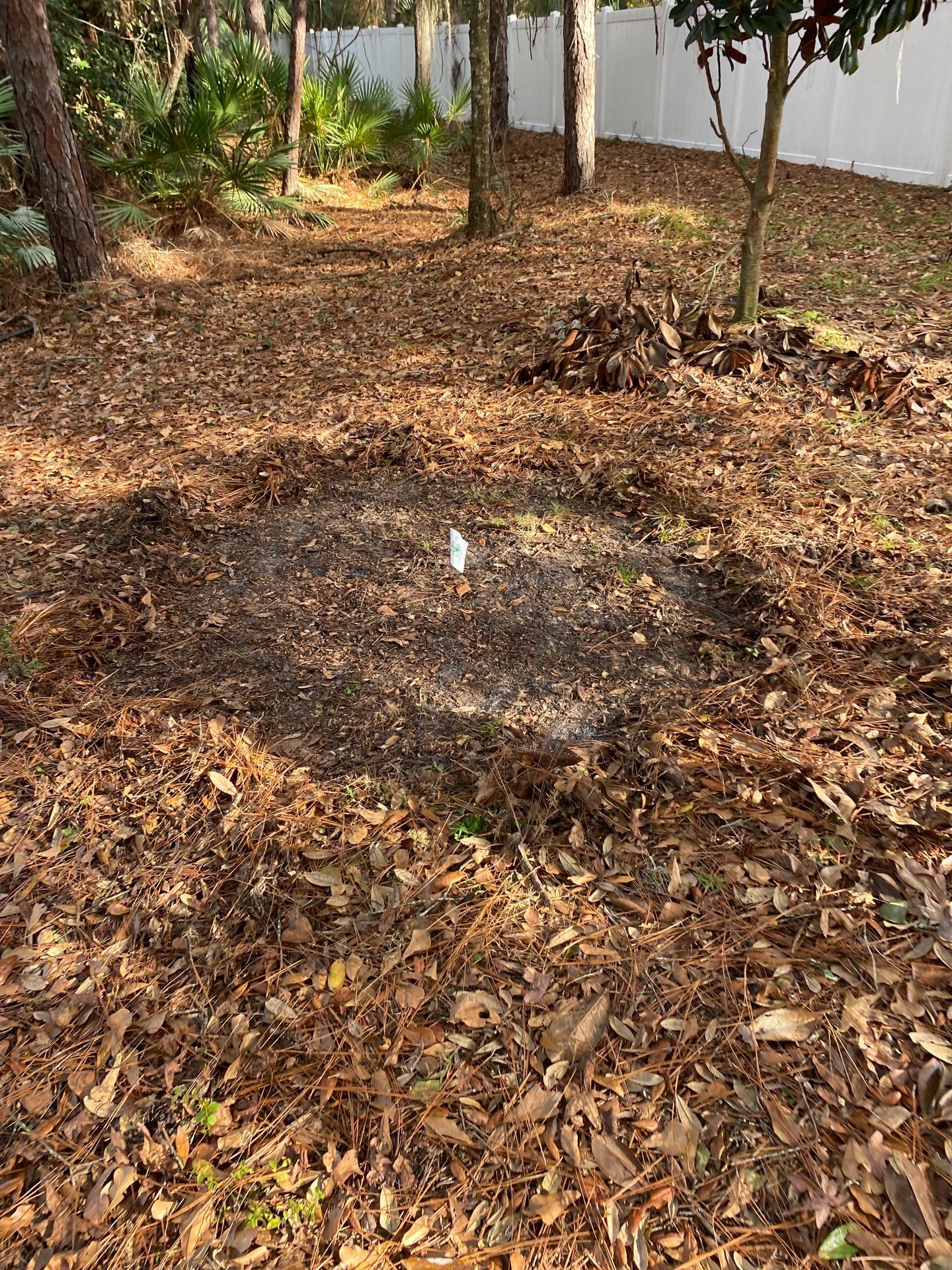 Deerwood Resident | Tree Installation by ProGreen Services