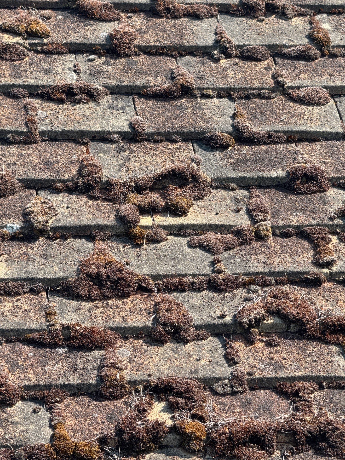 Roof Clean  - Moss Removal - Gutter Clean using Honda 15lpm Low Pressure Washing Machine by Ges Exterior Cleaning ltd