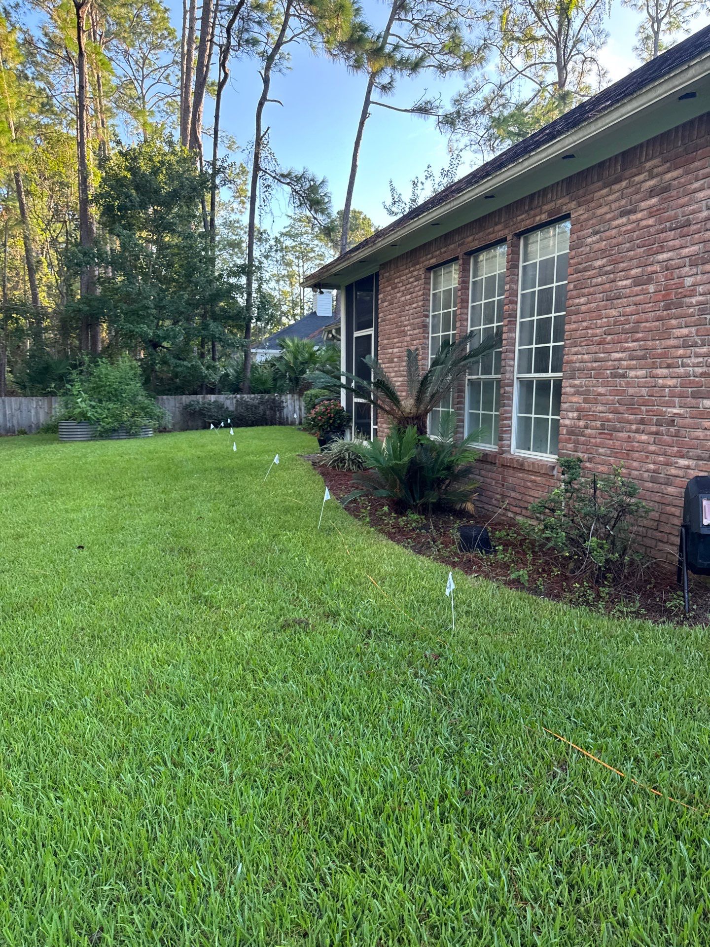 Residential | Shrub Trimming by ProGreen Services