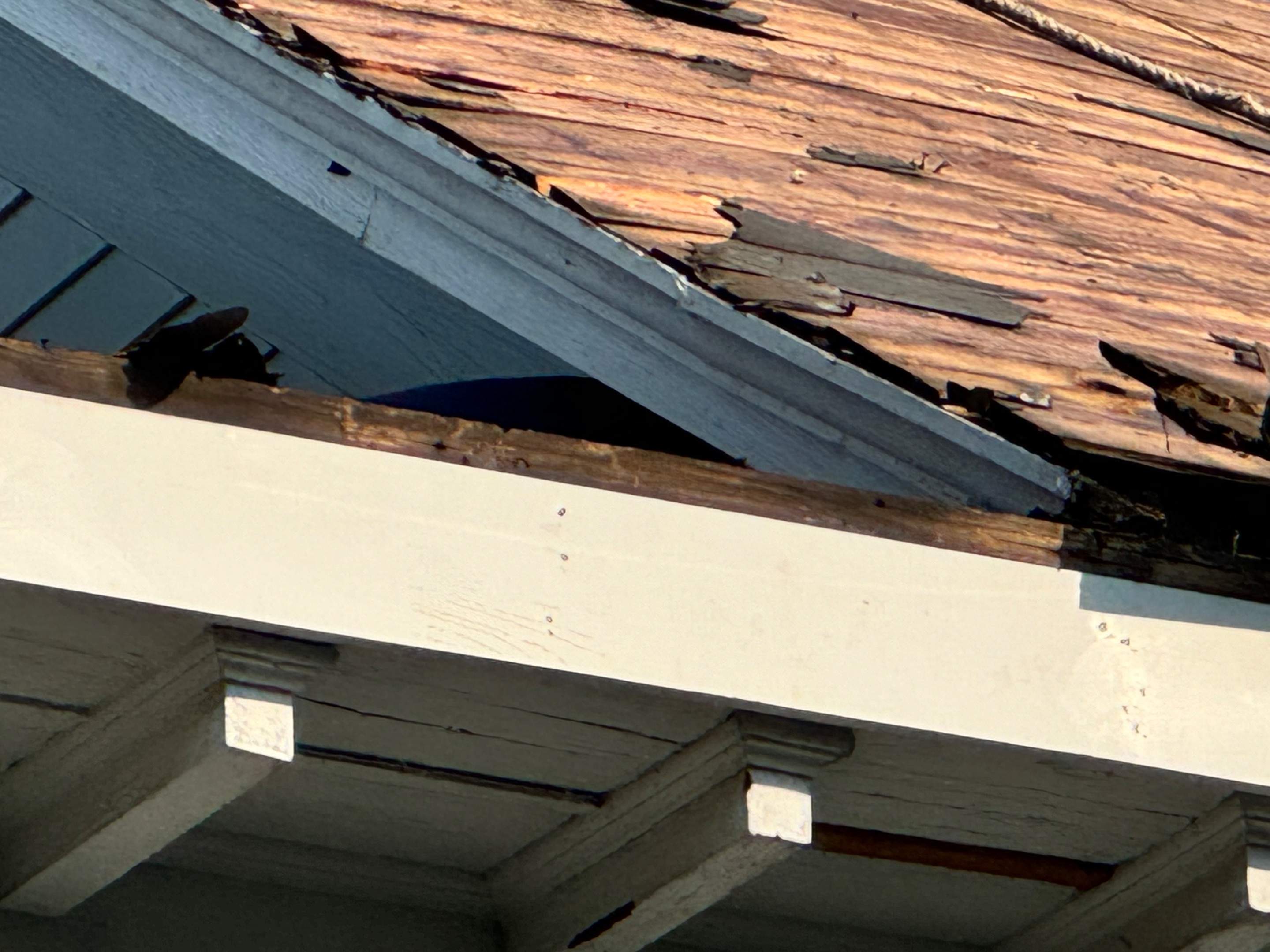 Tyee Roofing Replacement  by Tyee Construction Corp