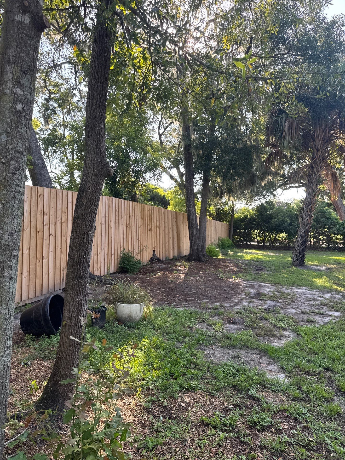 Residential | Tree Trimming  by ProGreen Services