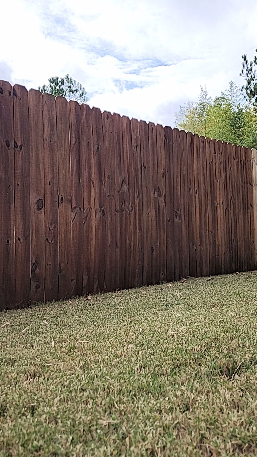 Fence Stained using Pecan Semi-Transparent by SSE by Titans of Timber Fence & Stain