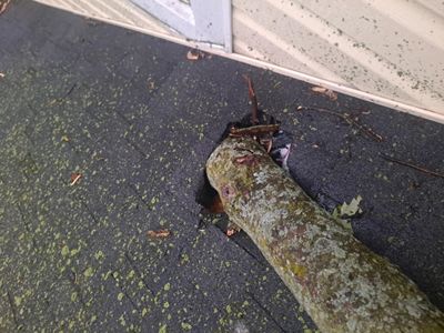 Jonathon Salmons Hail & Tree Damage Report