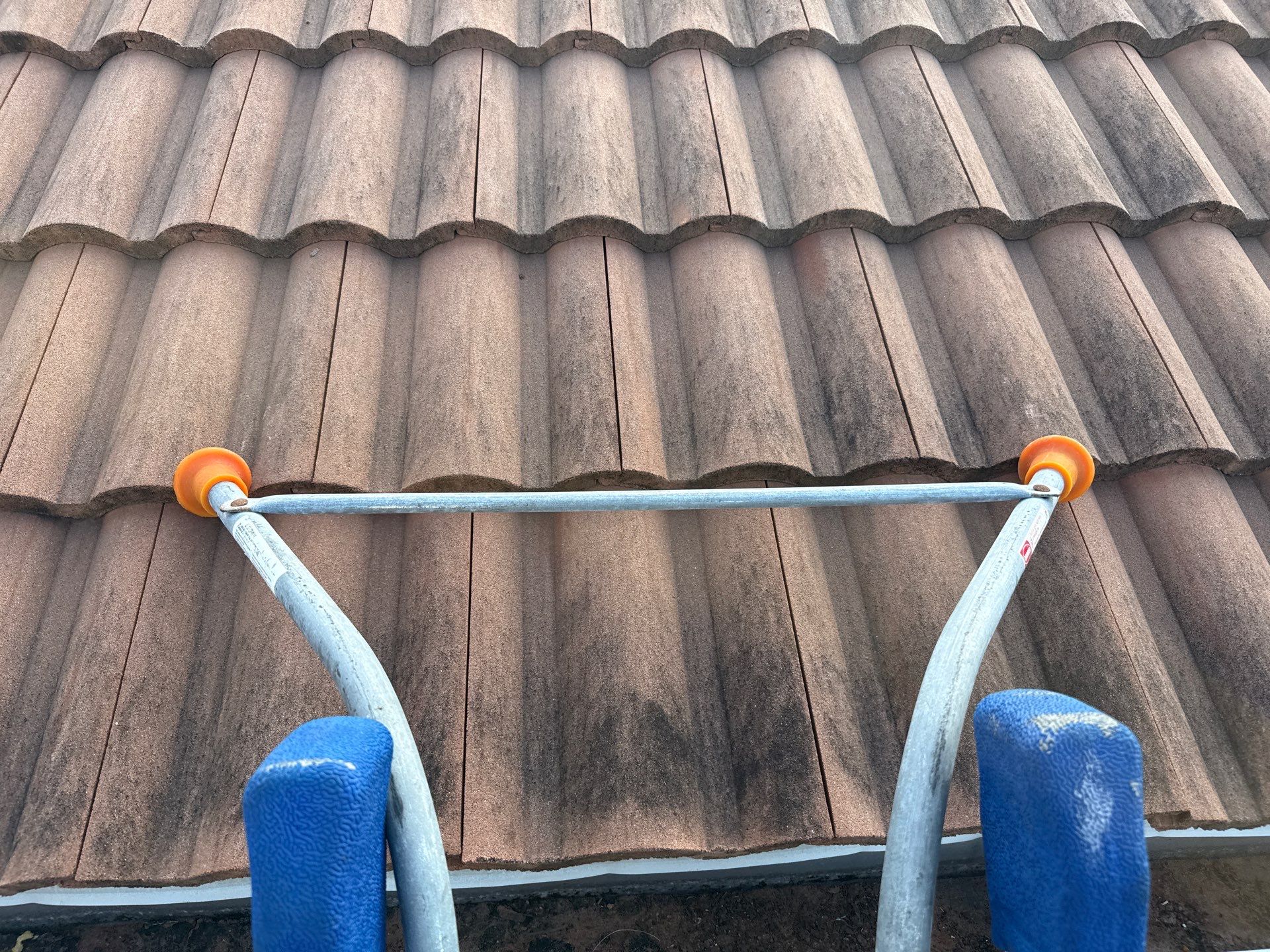 Roof Cleaning & Gutter Brightening | The Inlets Community | Manatee River | Bradenton, FL by Sunshine AquaWash