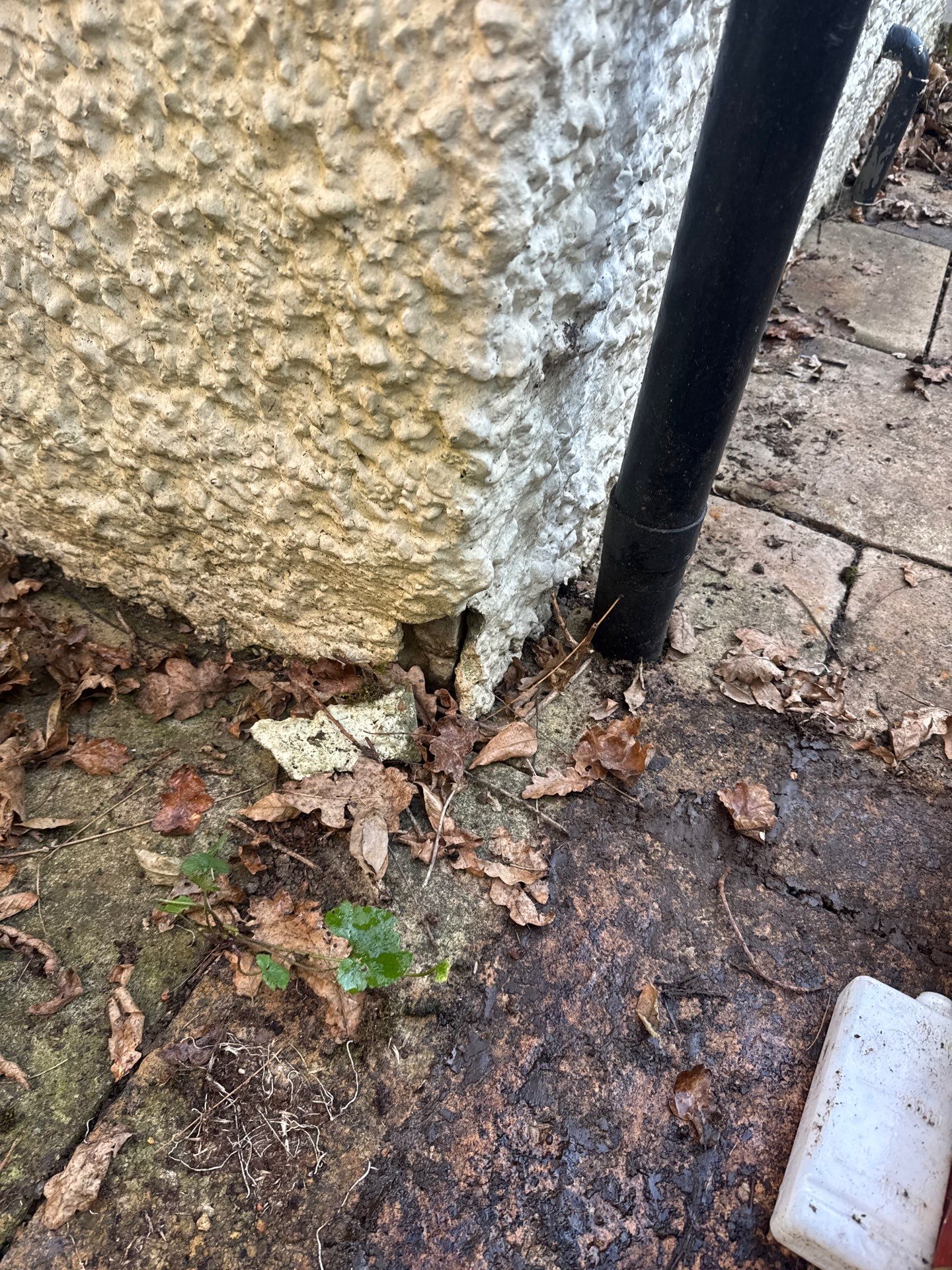 Render Clean using Pureseal Biocide by Ges Exterior Cleaning ltd