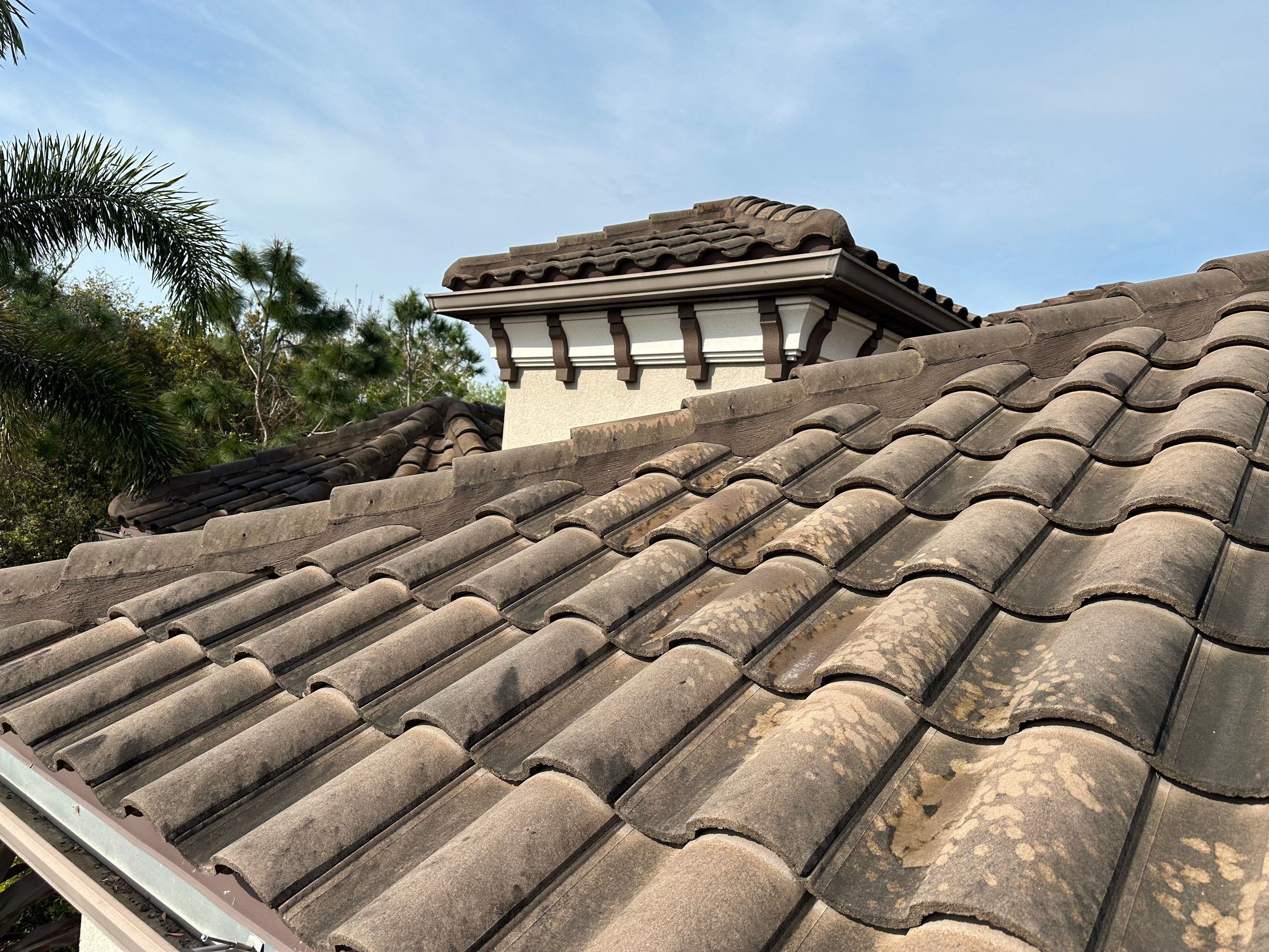 Concrete Tile Roof, Paver Pool Deck, Screen Enclosure & Driveway Cleaning in Artisan Lakes Esplanade, Palmetto, FL | Sunshine AquaWash by Sunshine AquaWash