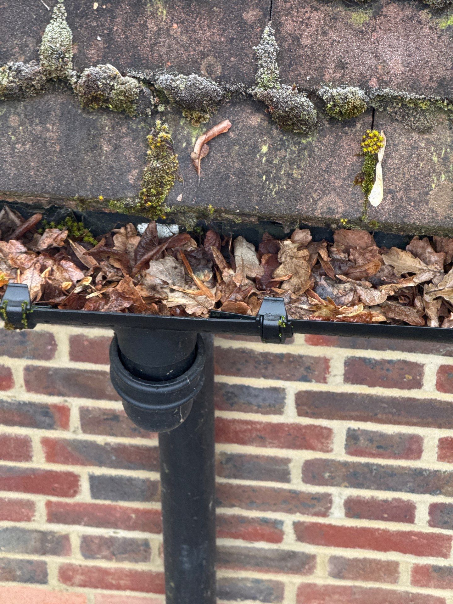 Roof Clean  - Moss Removal - Gutter Clean using Honda 15lpm Low Pressure Washing Machine by Ges Exterior Cleaning ltd