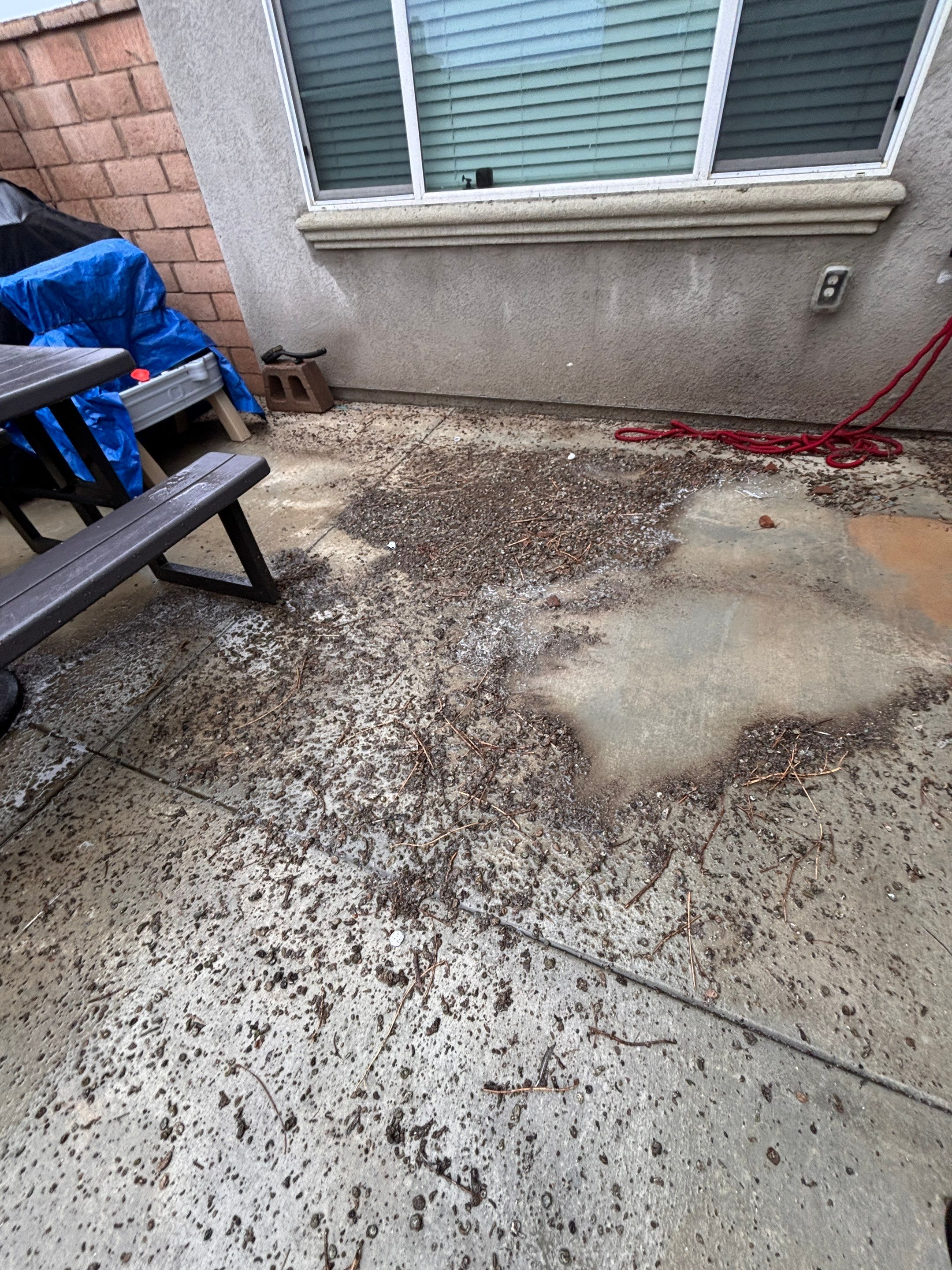 Solar Panel Bird Proofing in Fontana Ca by Palm Coast Solar Cleaning