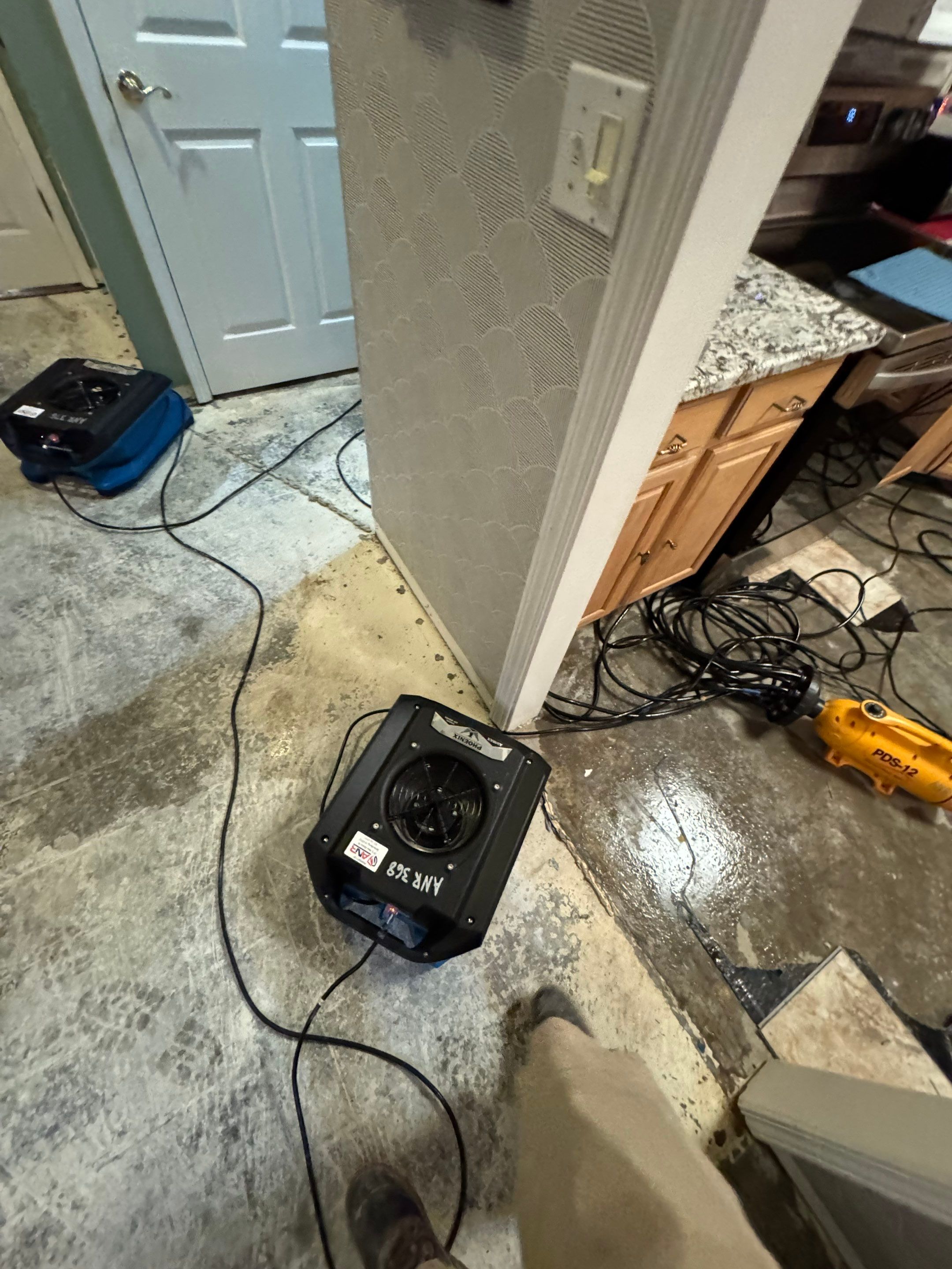 Mitigation and Repairs Project by ANR Restoration