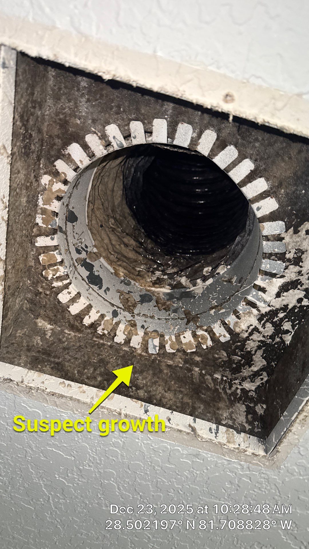 Air Duct Dryer Vent Cleaning Encapsulation Dryer Vent Repair in Clermont by Hygienic Air, Inc