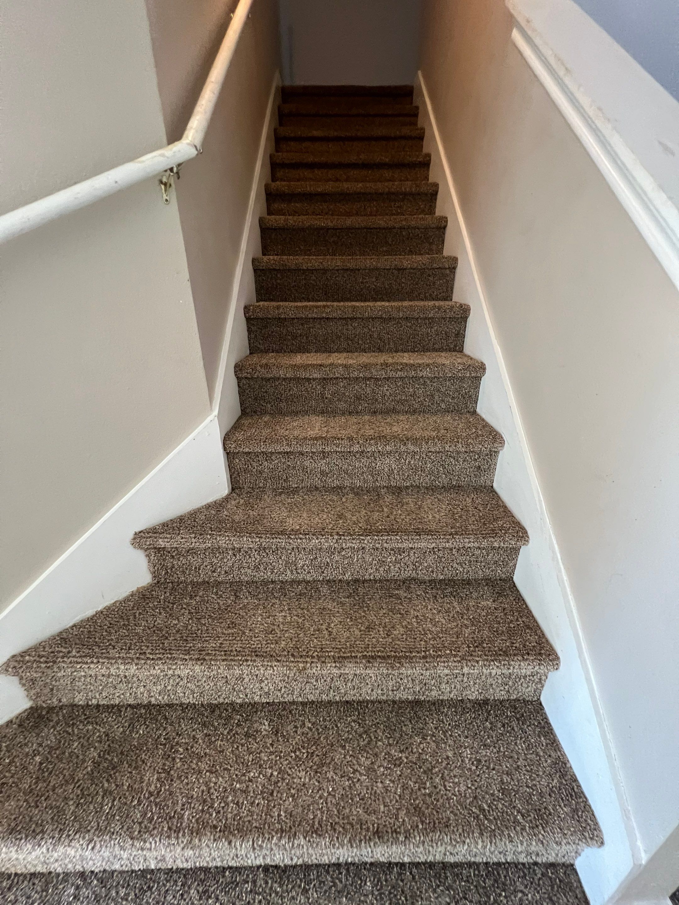 the carpet cleaning service is deep cleaning the stair carpeting to remove dirt and stains for a fresh appearance