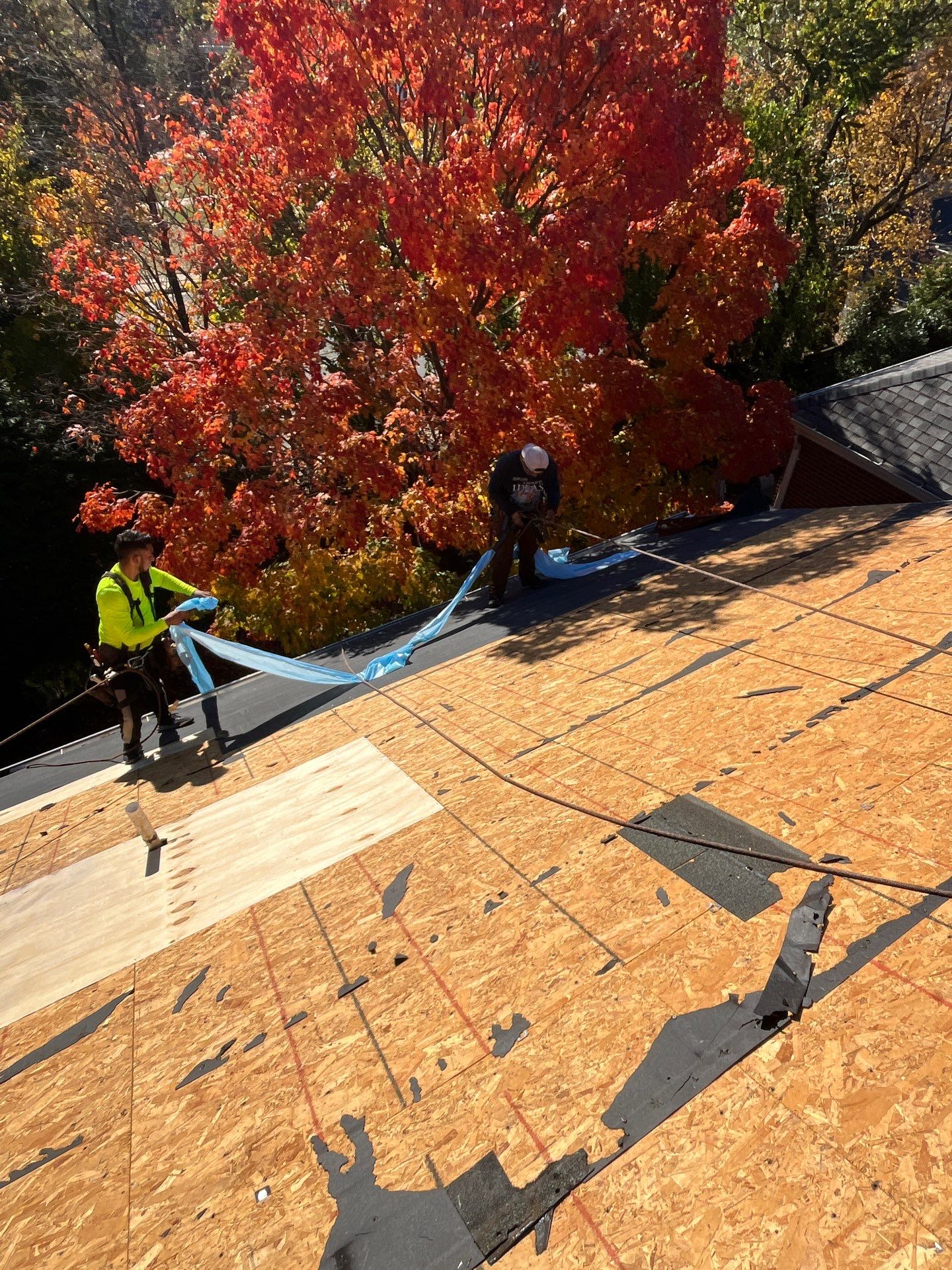 Alexandria: Residential Roof Replacement with CertainTeed Landmark Pro Designer Shingles in Max Def Moire Black by RM Banning, Inc.