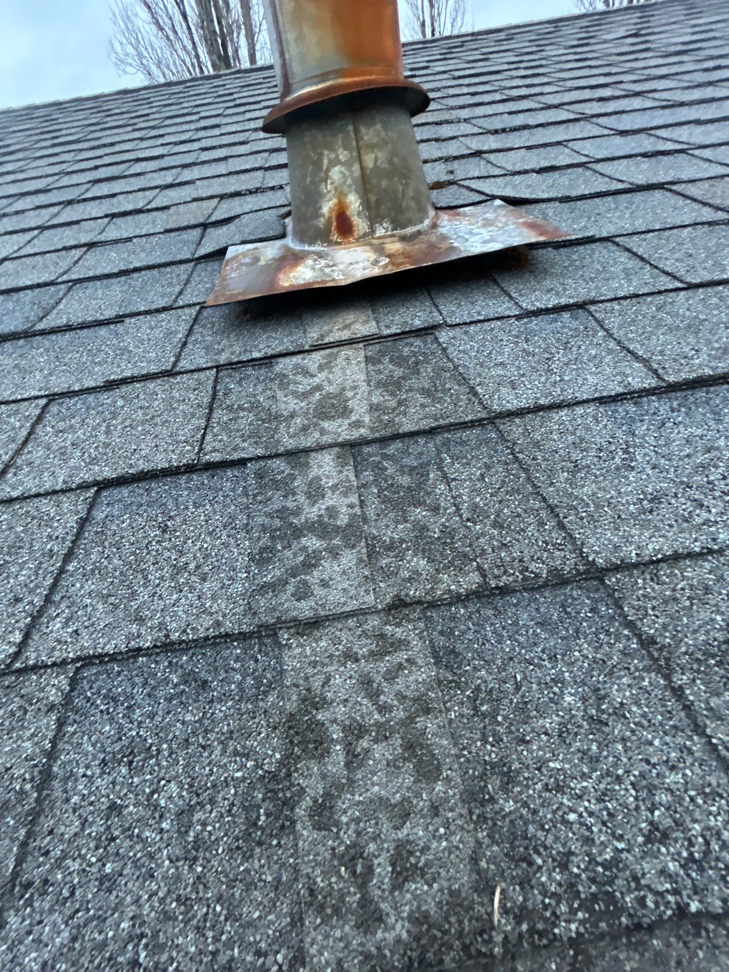 Project in Bothell by Connolly Construction Company