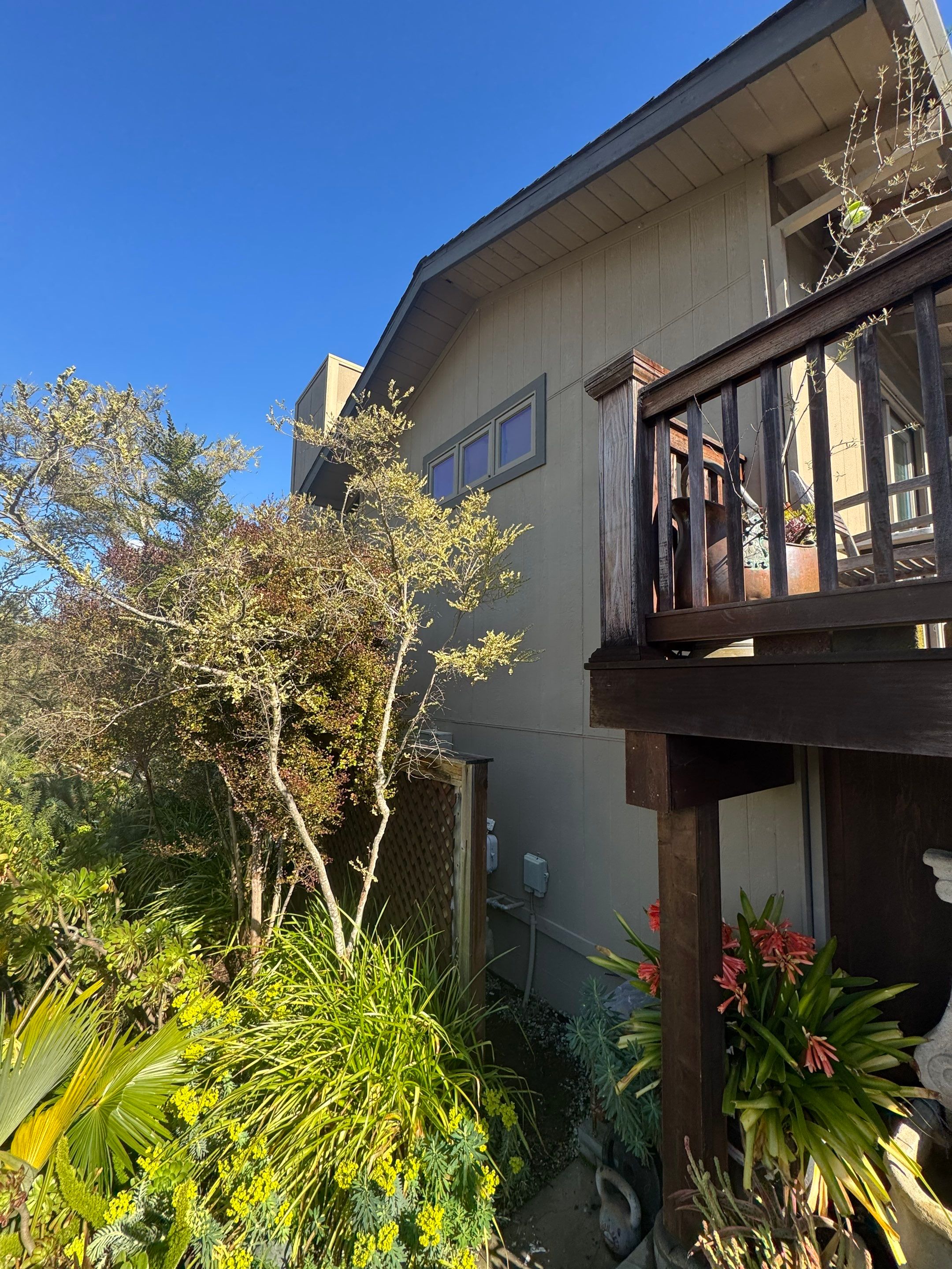 El Pavo Real Cir, San Rafael by Golden State Builders Group