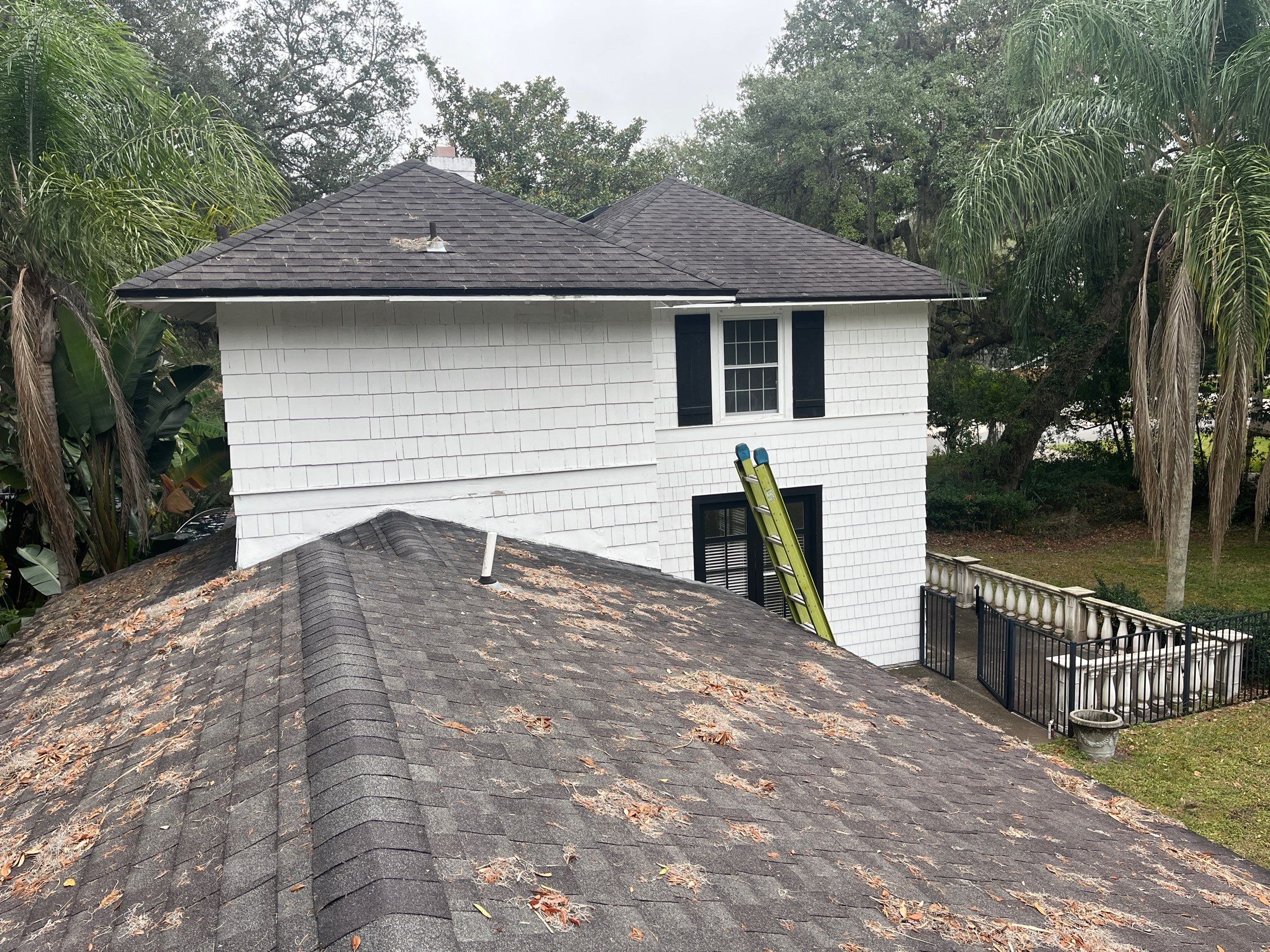 Shingle -> Shingle by Prime Roofing