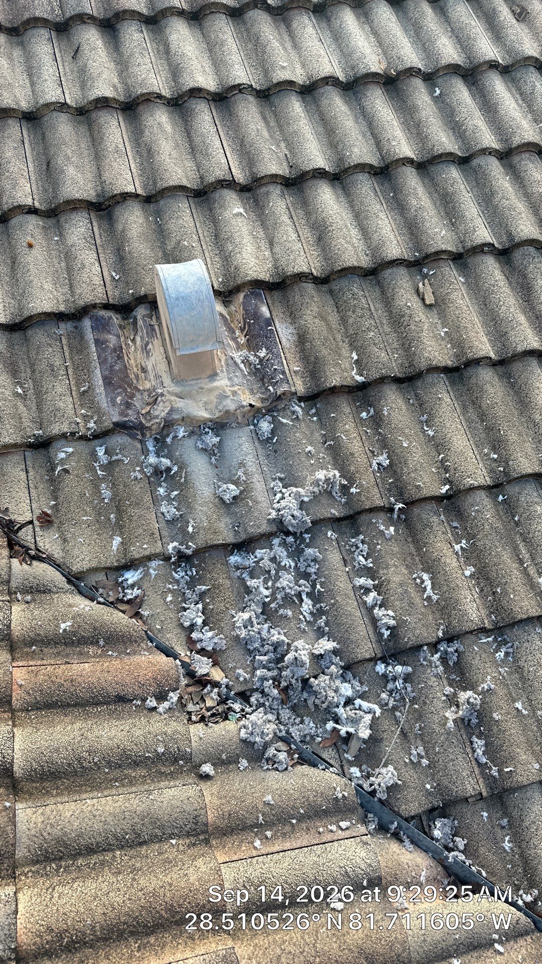 Air Duct Cleaning & Dryer Exhaust Follow-Up in Clermont by Hygienic Air, Inc