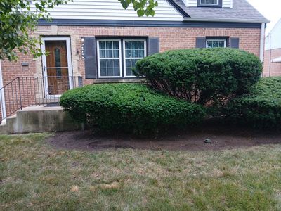 Catherine B. - Mount Prospect, IL
