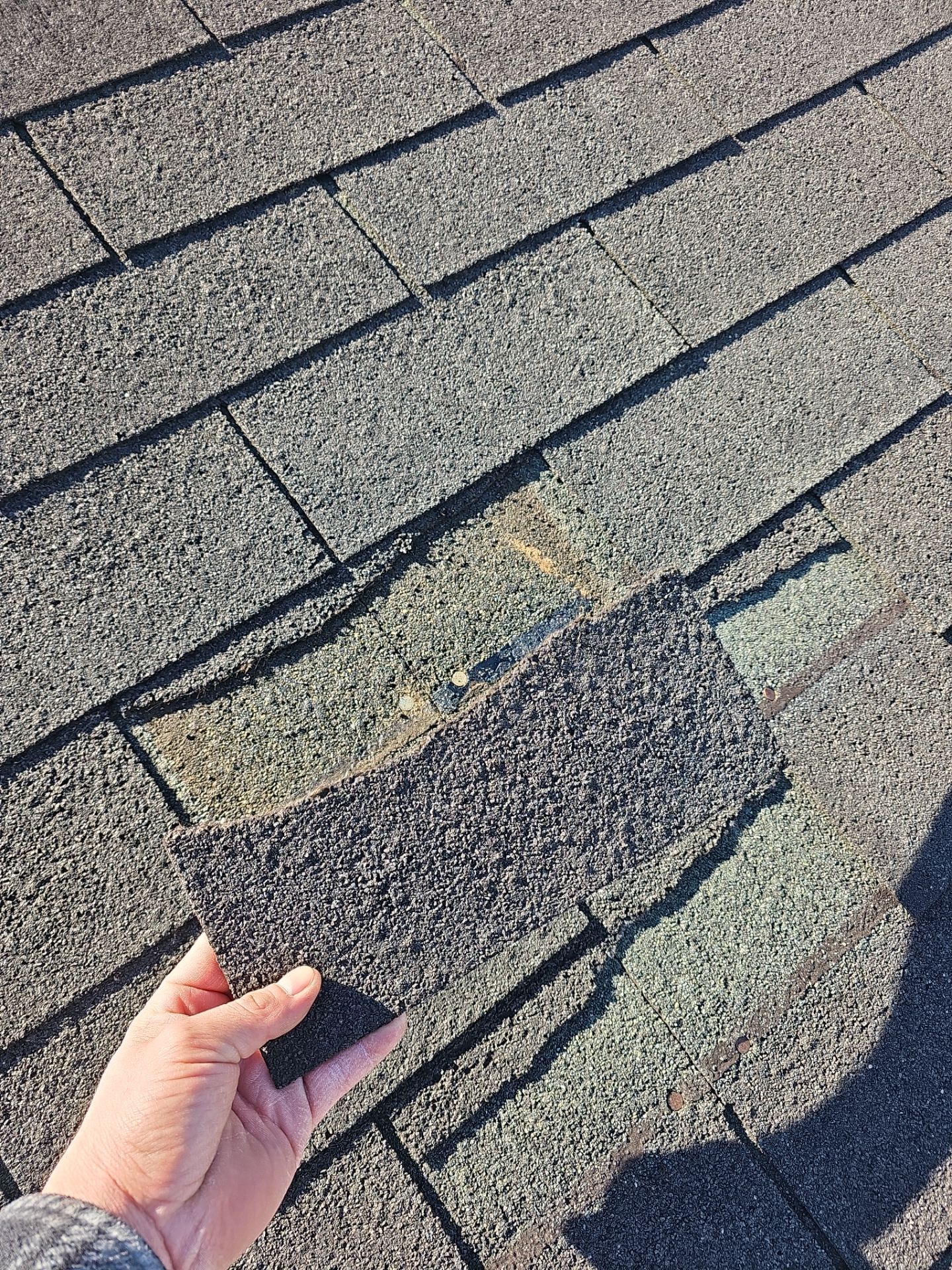 Roof Replacement - Charcoal Black by Winchester Roofing