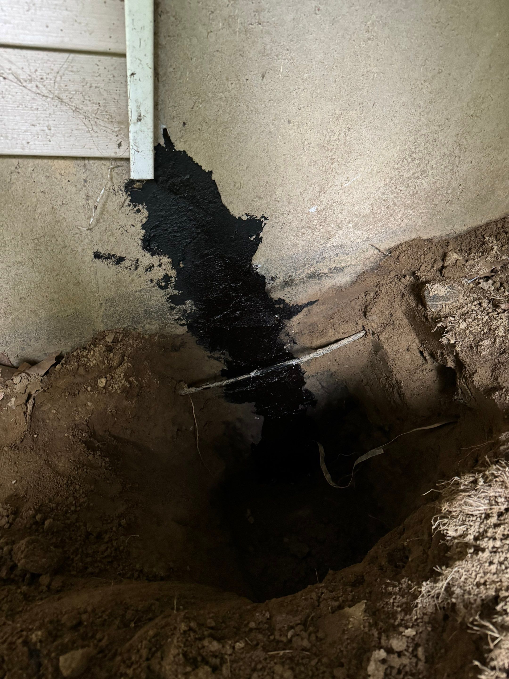 Basement & Livingroom Remediation by Home Guarantee, LLC