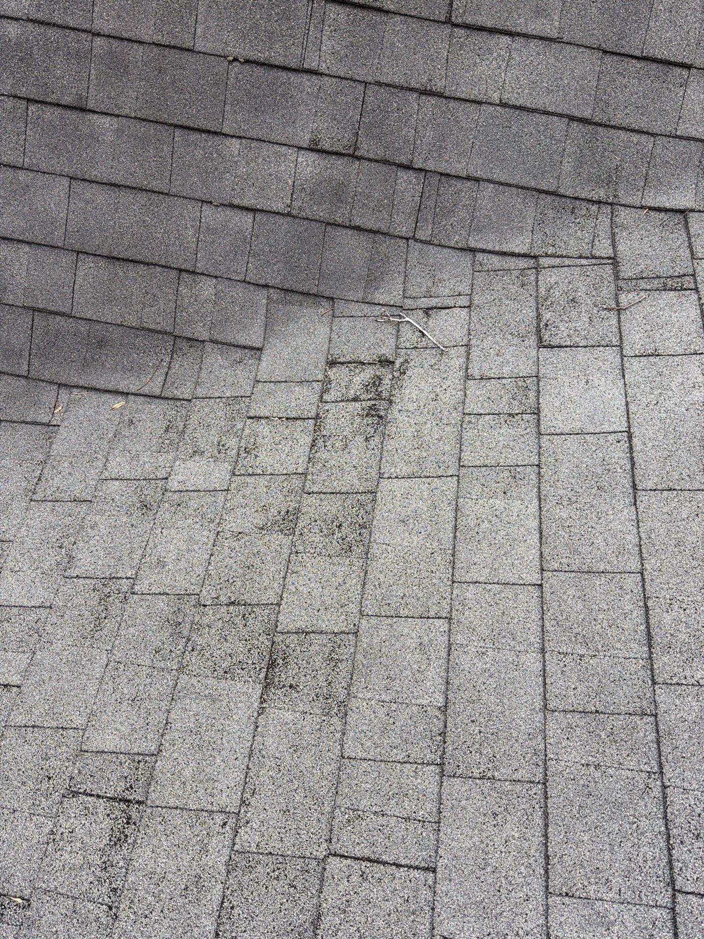 The Krivaceks by United Contracting and Roofing