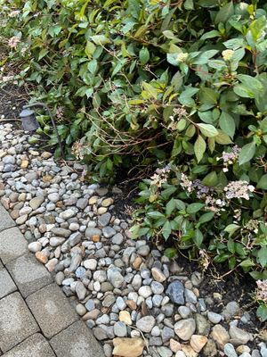Gutter Cleaning in Succasunna, NJ — Gallo Bros job photo