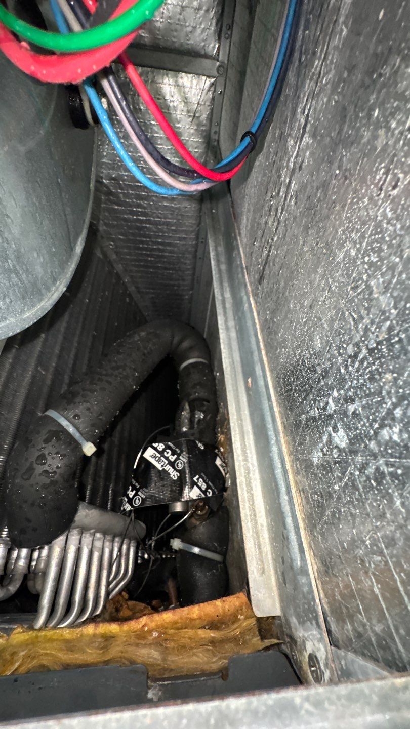 Air Duct and Repairs to Return Box in Groveland by Hygienic Air, Inc