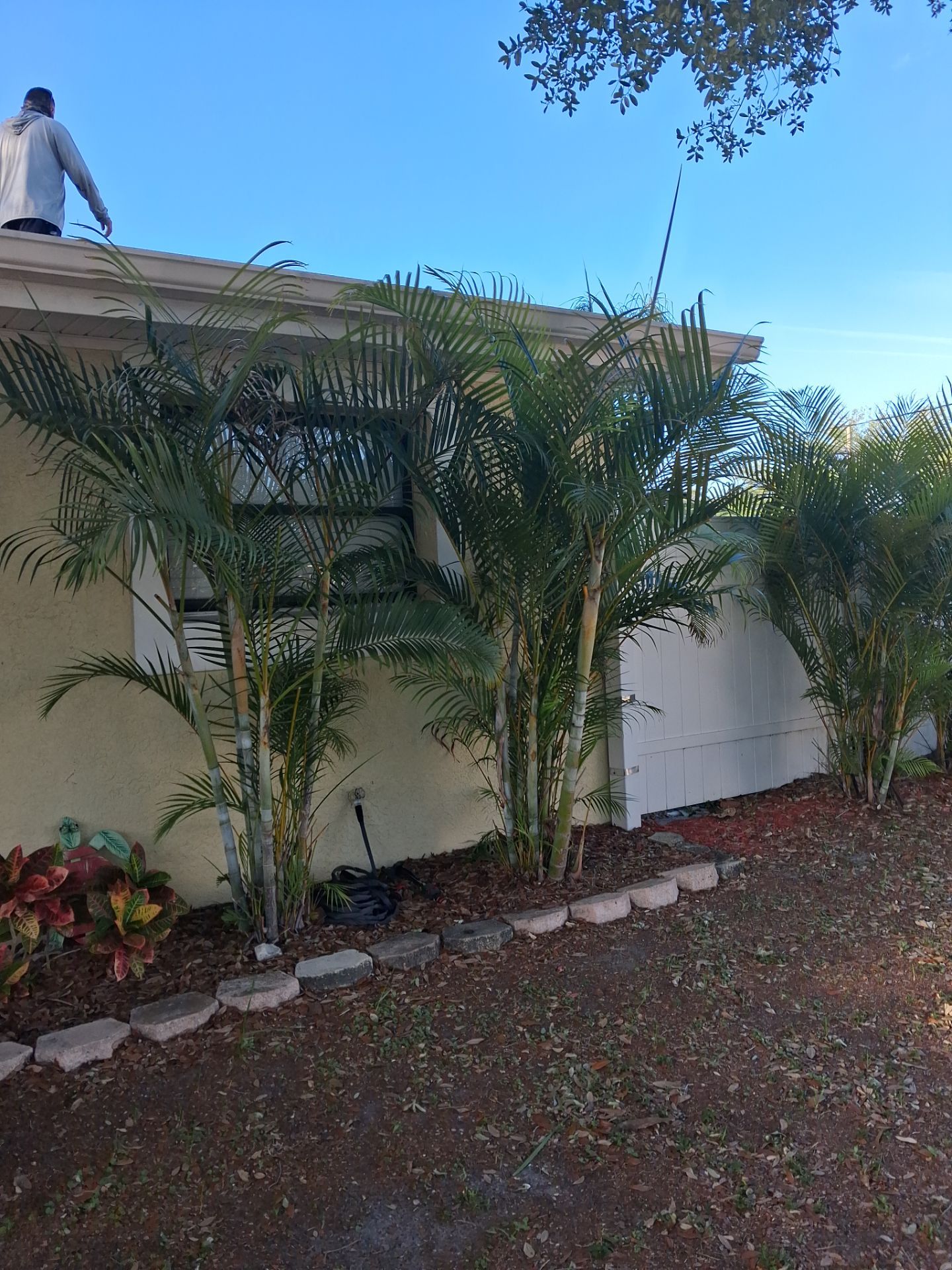 Project in St. Petersburg 33703 by Mitchell Roofing Company LLC 
