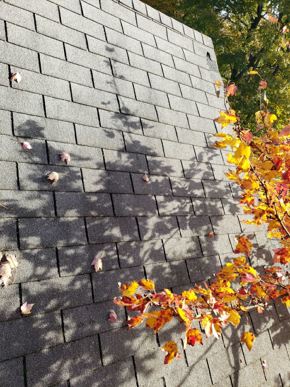 ATLAS PINNACLE SCOTCHGARD COLOR: PEWTER DRIP EDGE: BLACK by Eagle Eye Roofing