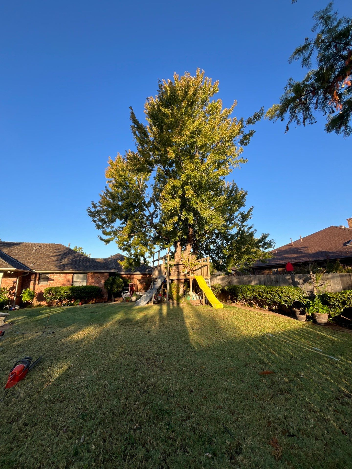 Tree Removal using Chainsaws by Clays Services Inc