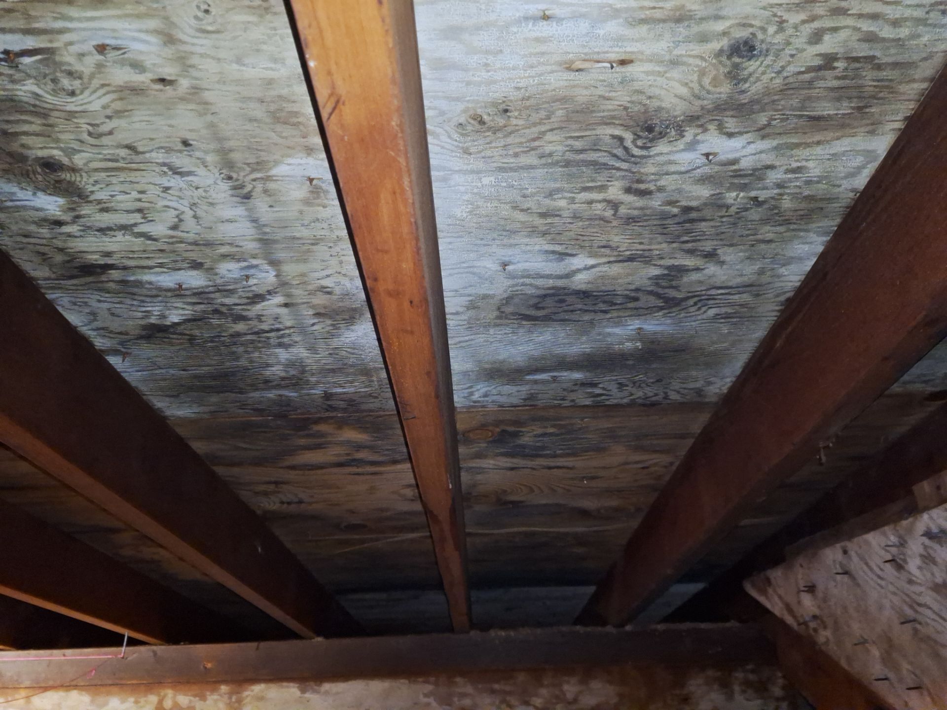 Silver Birch Shingles by Reimagine Roofing