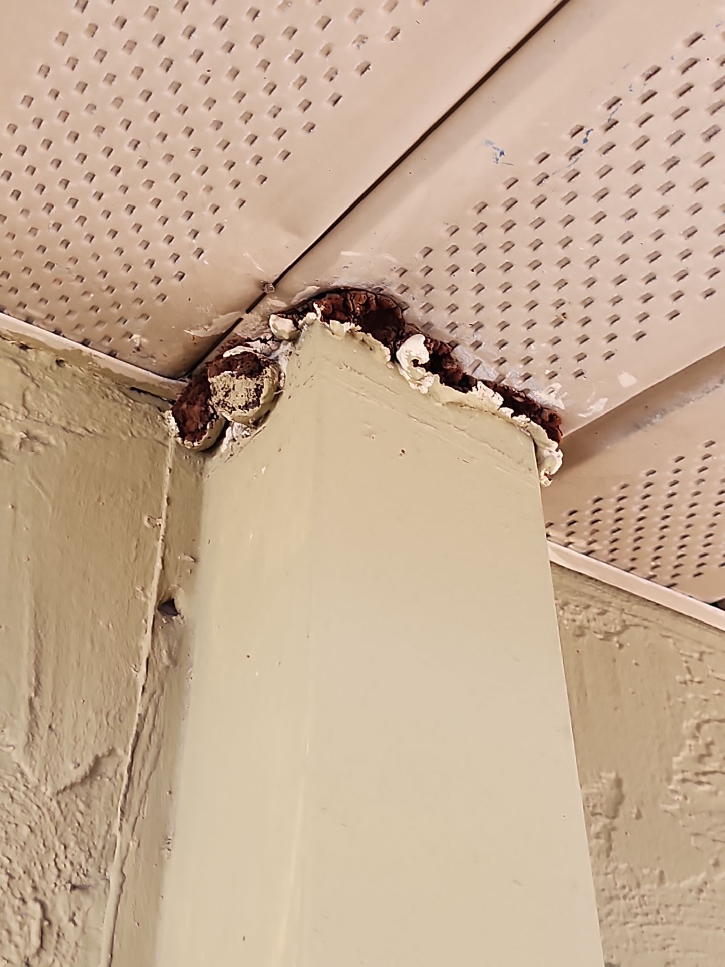 Project in Sarasota by Sunbelt Home Solutions