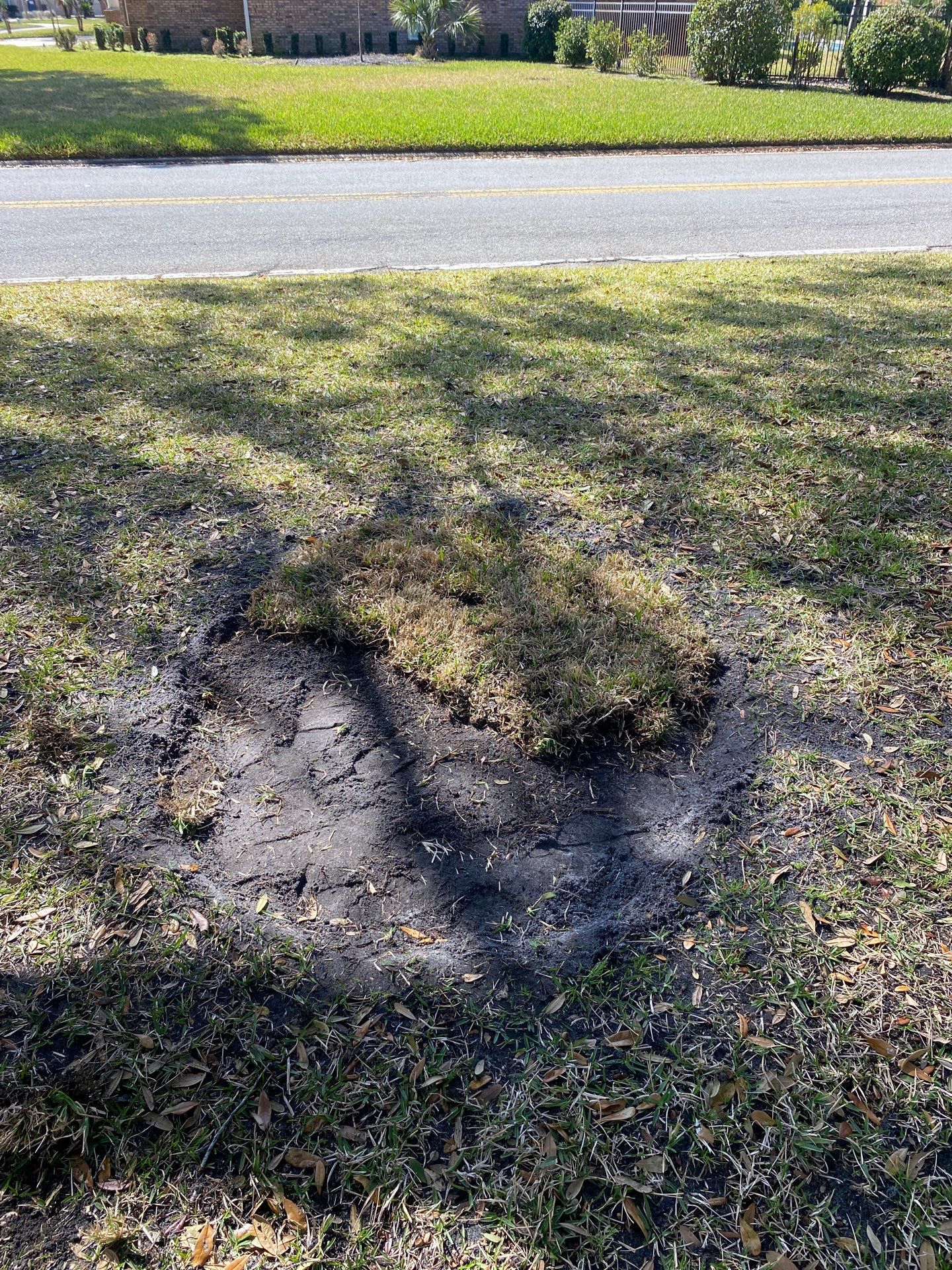 Deerwood Resident | Tree Removal & Install by ProGreen Services