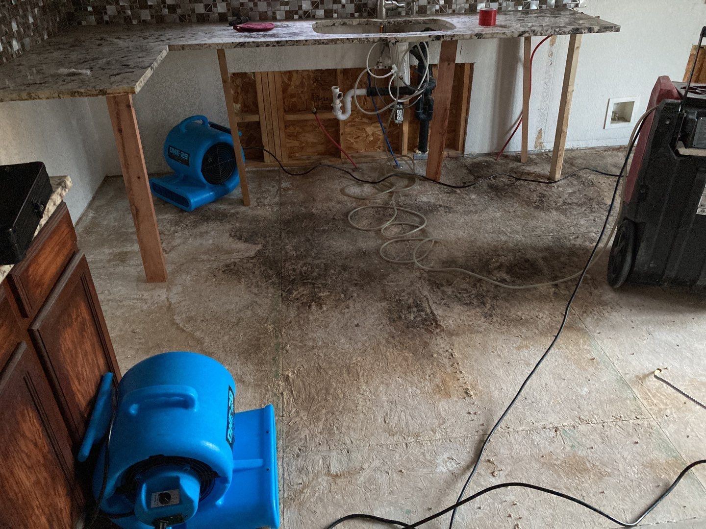 Mold Remediation in Kitchen by Accountable Home Services