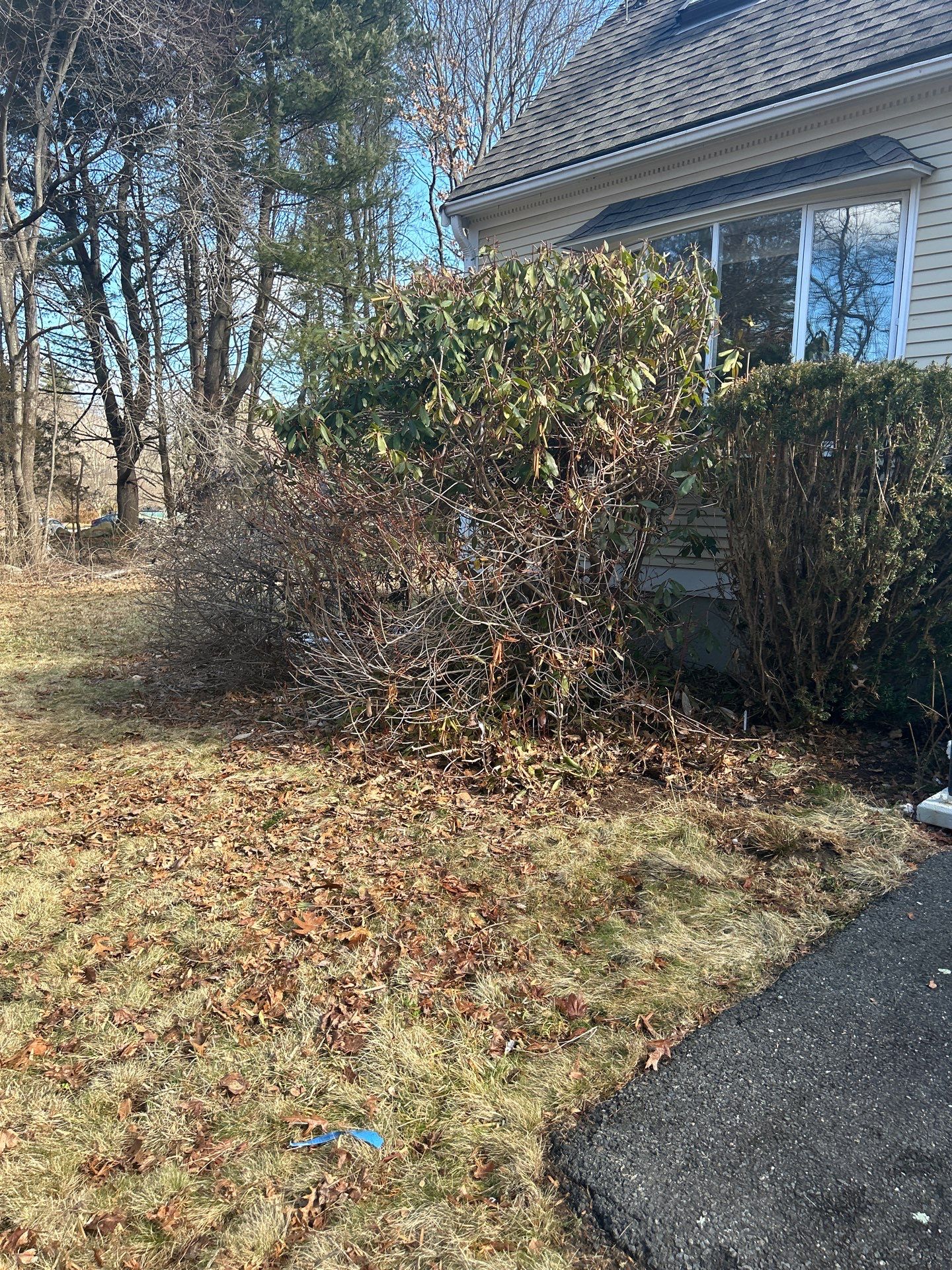 Landscape Walkthrough by LaMere Landscaping and Property Maintenance